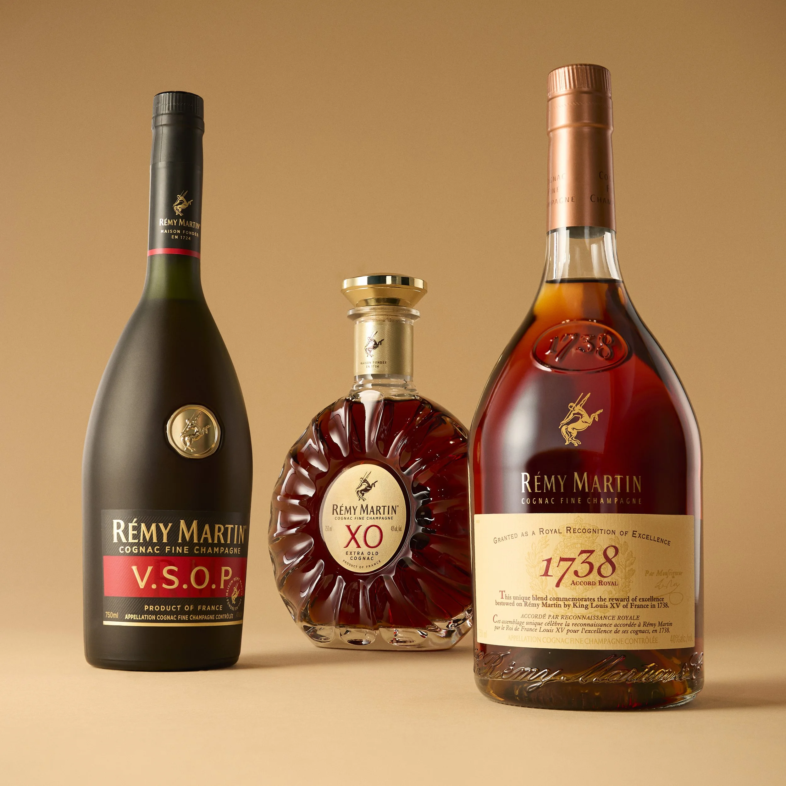 07_17_2025_Remy_Spec_FAMILY_2_STACKED_V1a.jpg