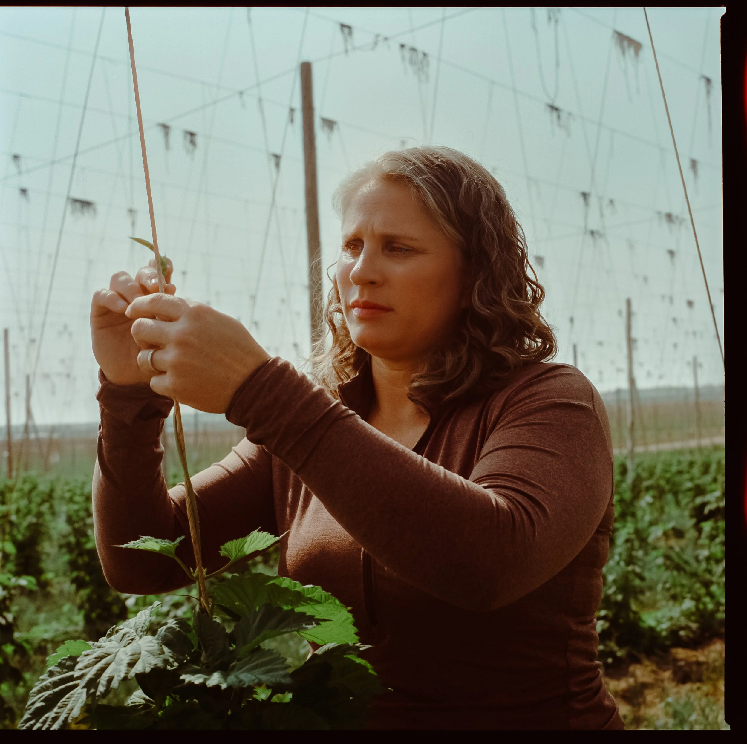 A woman with curly hair looking at plants inside a greenhouse.