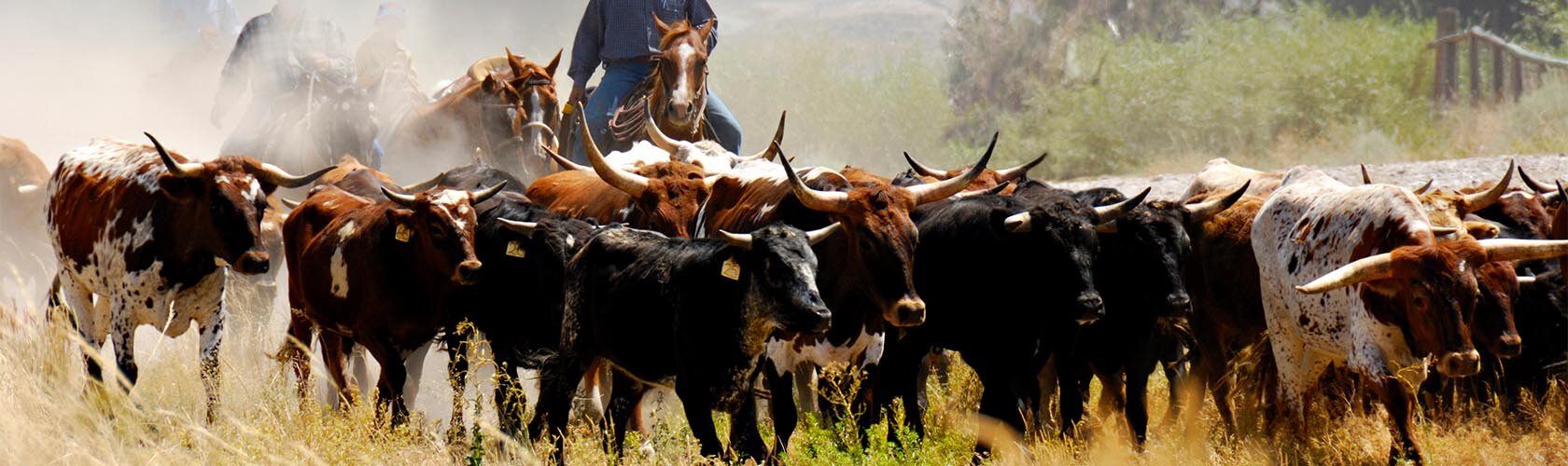 Deliverance Retreat — Bear Creek Ranch