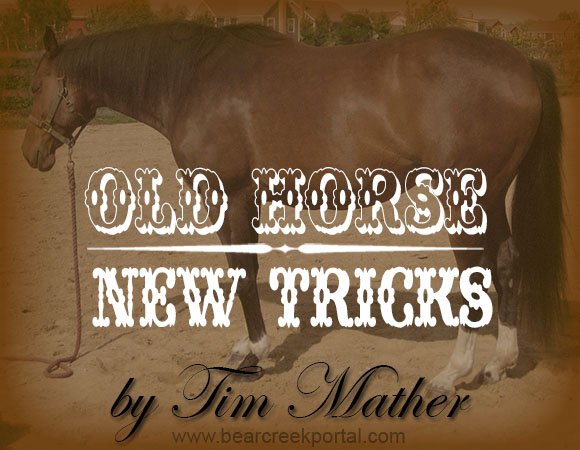 Old Horse - New Tricks