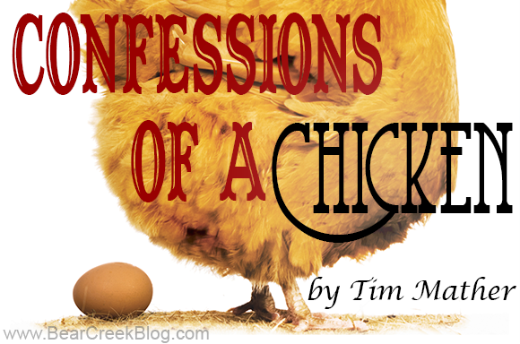 Confessions of a Chicken