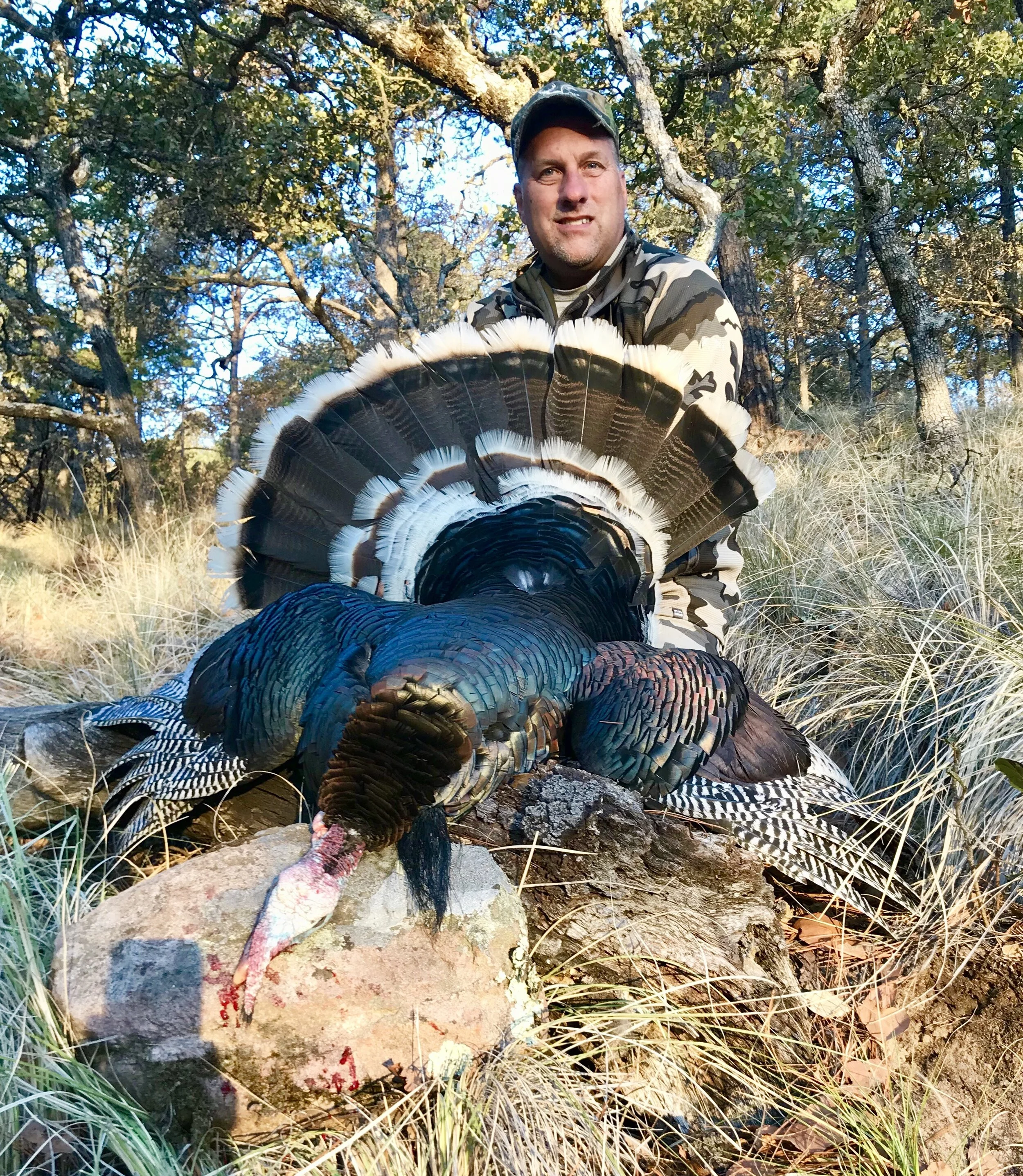 dale goulds turkey hunt in mexico.jpg