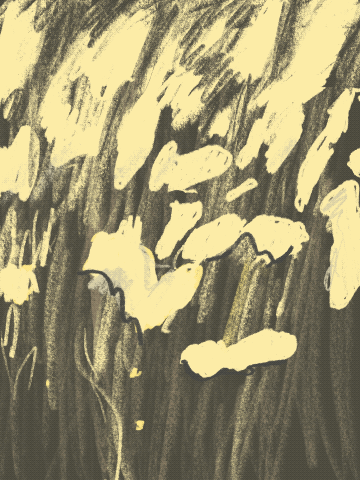 Untitled_Artwork 11.gif