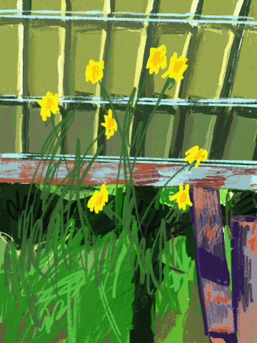 Untitled_Artwork 4.gif