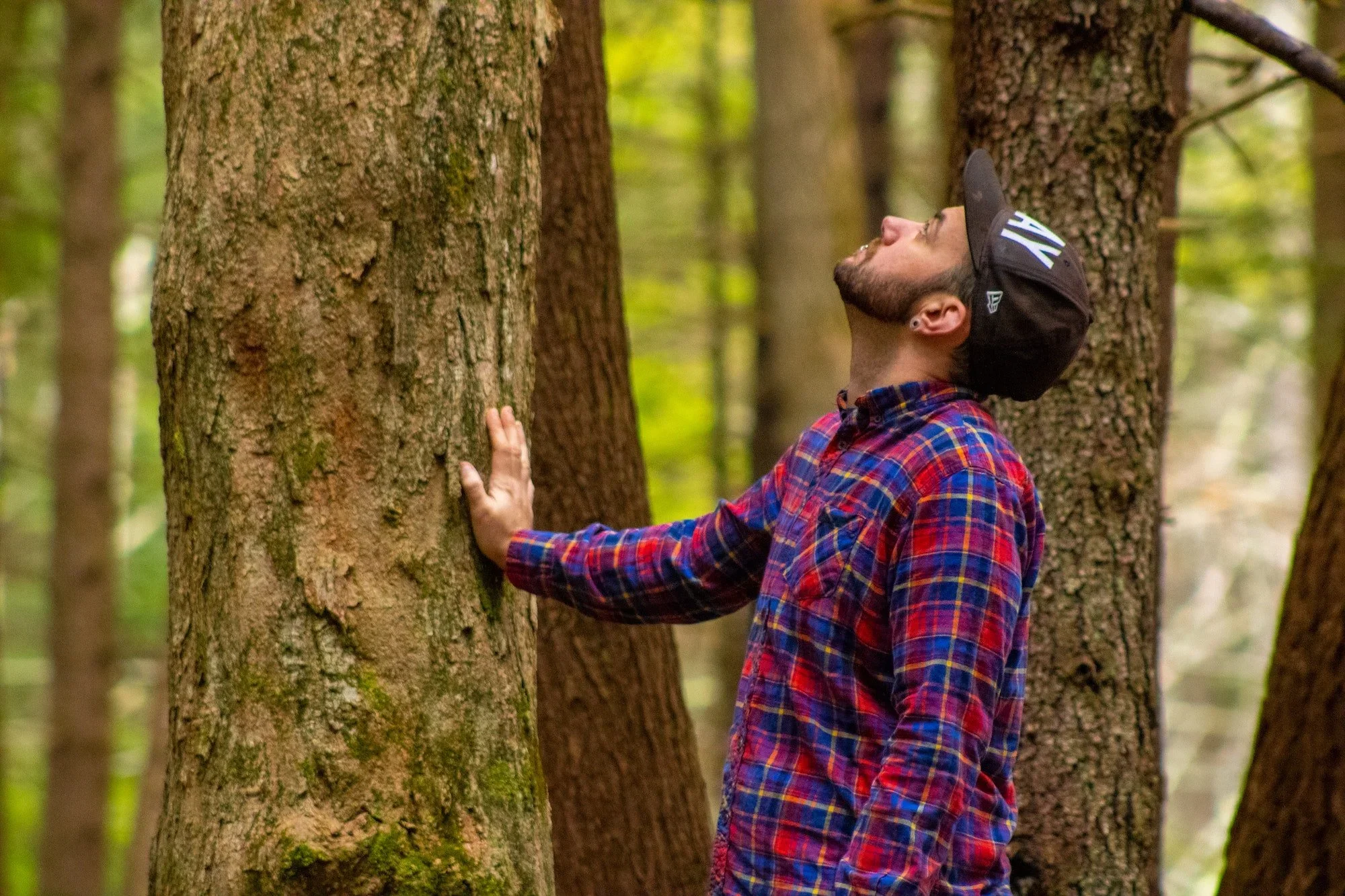 Spring Queer Forest Bathing Retreat with The Venture Out Project!