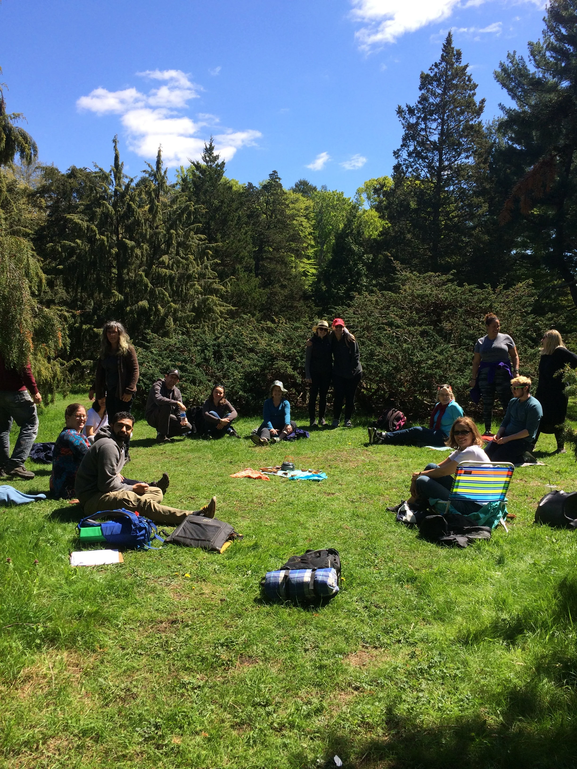 Forest Bathing at The Arnold Arboretum 