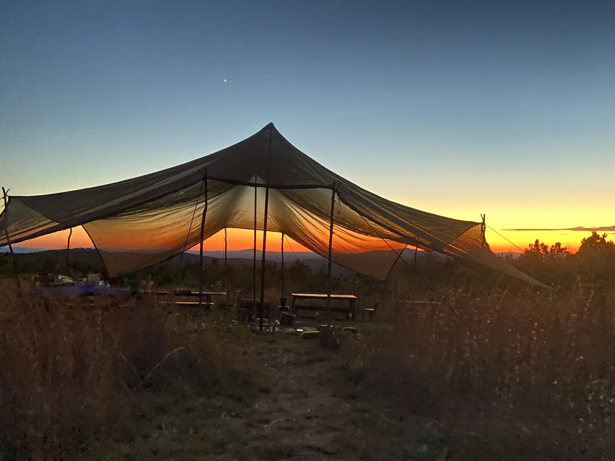 Forest Therapy Guide Training: A 7-day Intensive