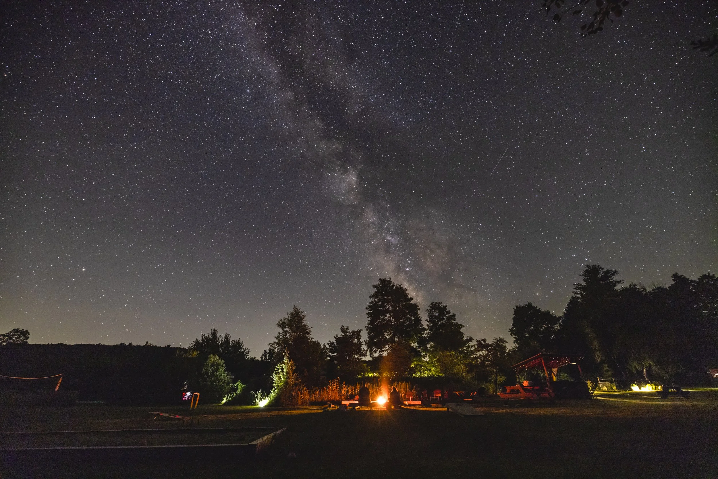 Fall Queer Forest Bathing Retreat with The Venture Out Project!