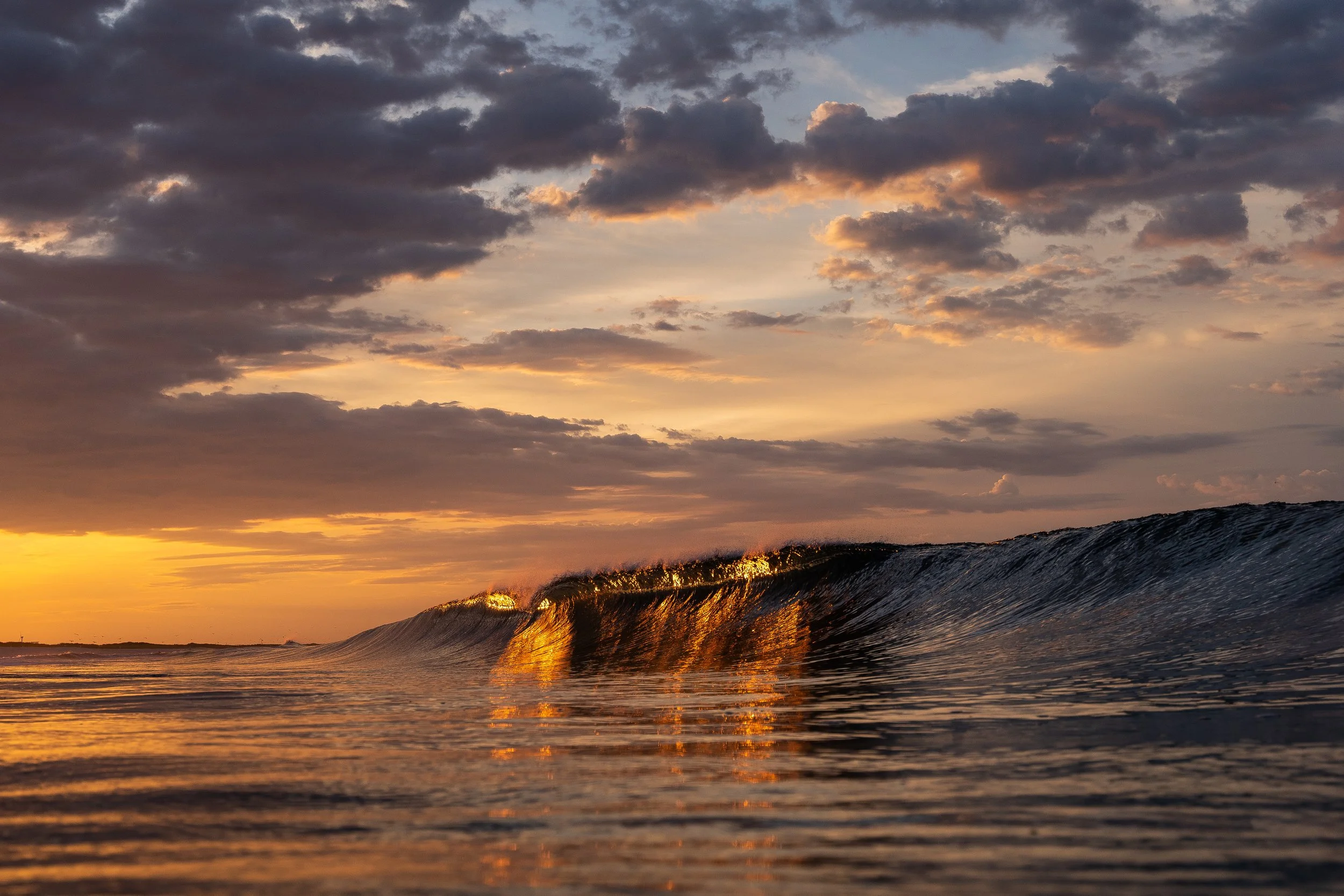 Golden Reflections