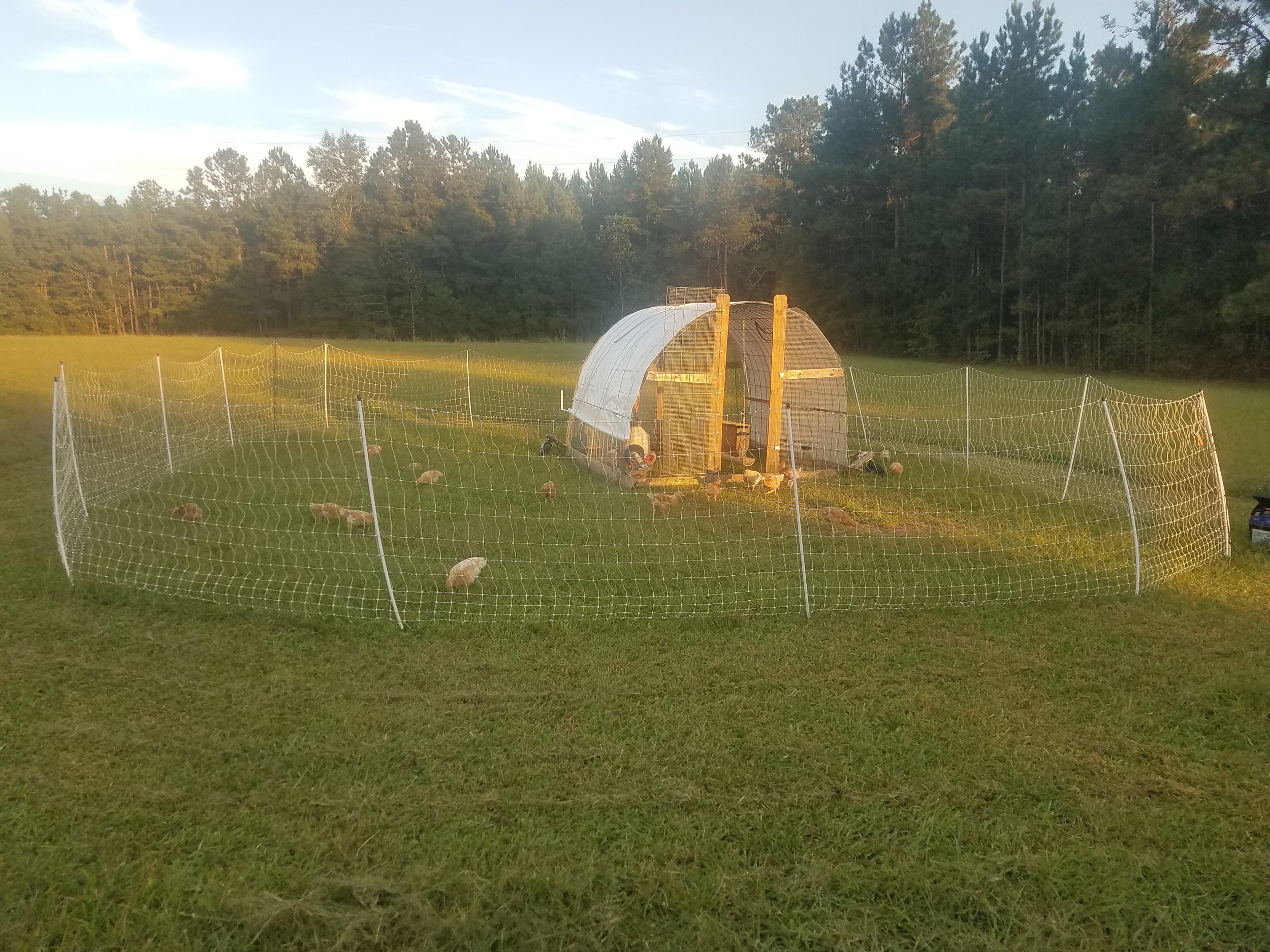 20211011_184451.jpeg