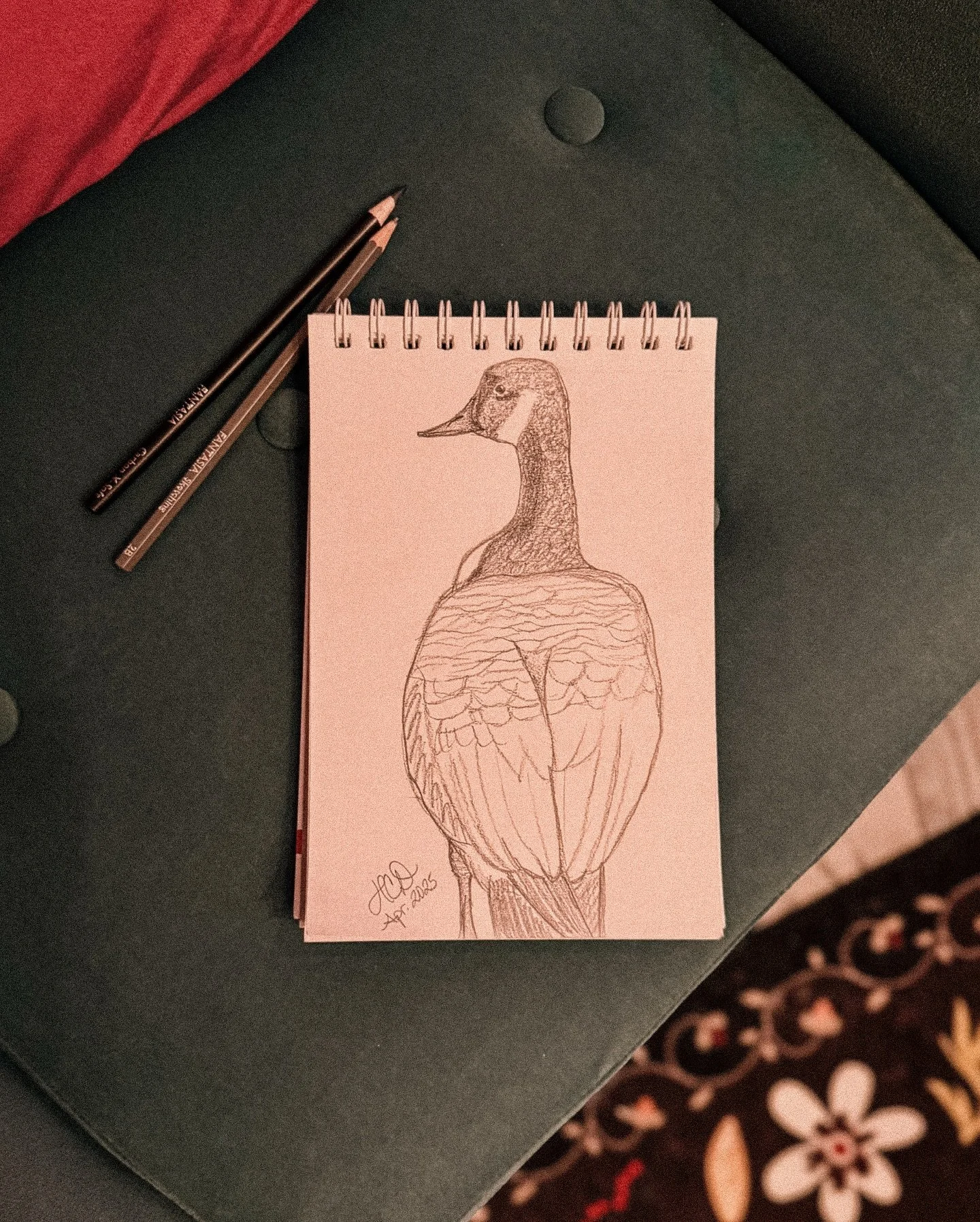 Quick lil after supper sketch of a 🇨🇦🪿.

#hcdartworks #canadageese #elbowsup #canadianbirds #canadagoose #2bpencil #sketching