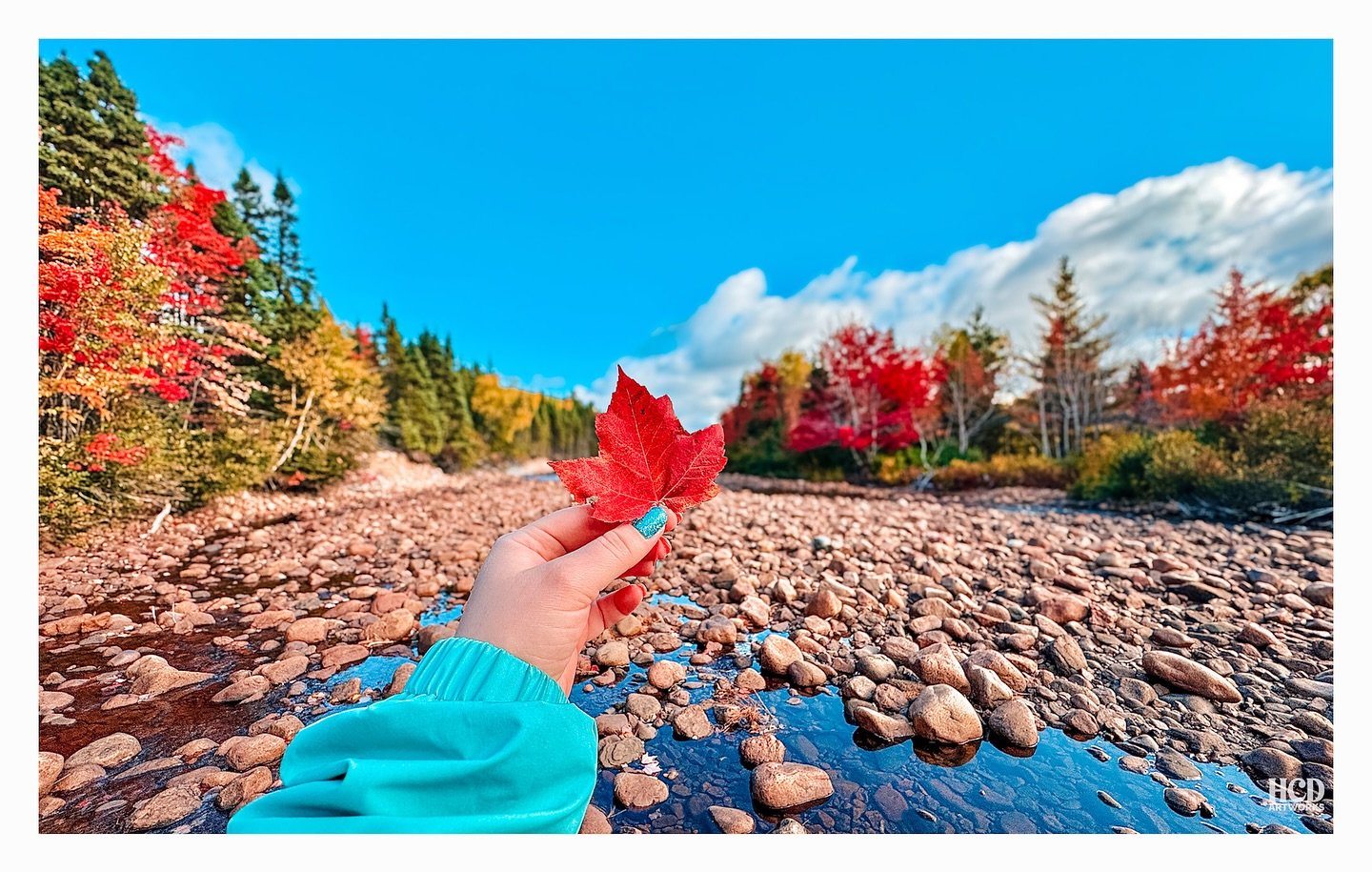 For the trees,
and the vibrant, crisp leaves.

From the shores that sigh to the sea,
to the sun wrapping its arms around me.

Woodsmoke drifts through the air,
tangling gently in my hair.

A cup of coffee warms my hands;
The world slows down - I unde
