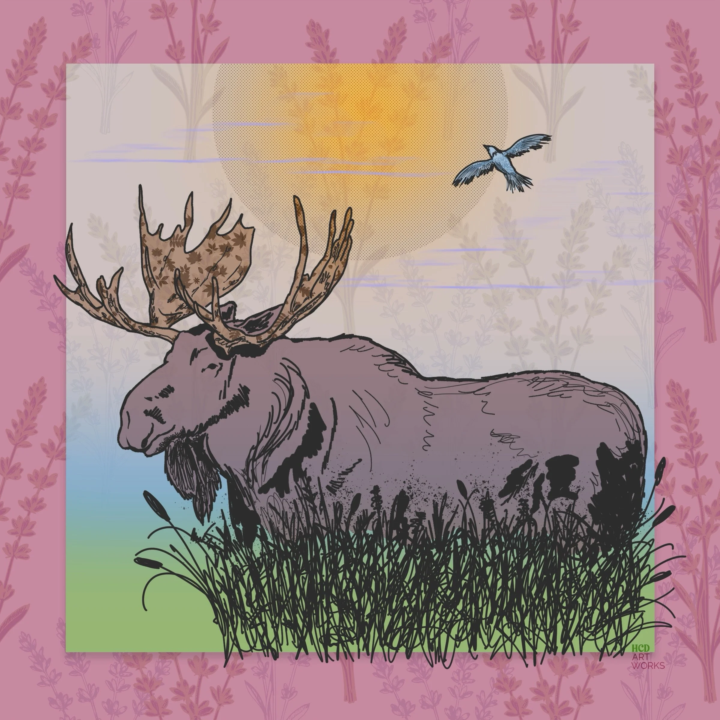 Maybe you go for a quiet walk through the trail on a calm, glowing morning.
The chill in the air nips your nose.
You look ahead, and you notice new breath in the air, swirling like a mini cloud in the cool.
A majestic moose calmly looks at you throug