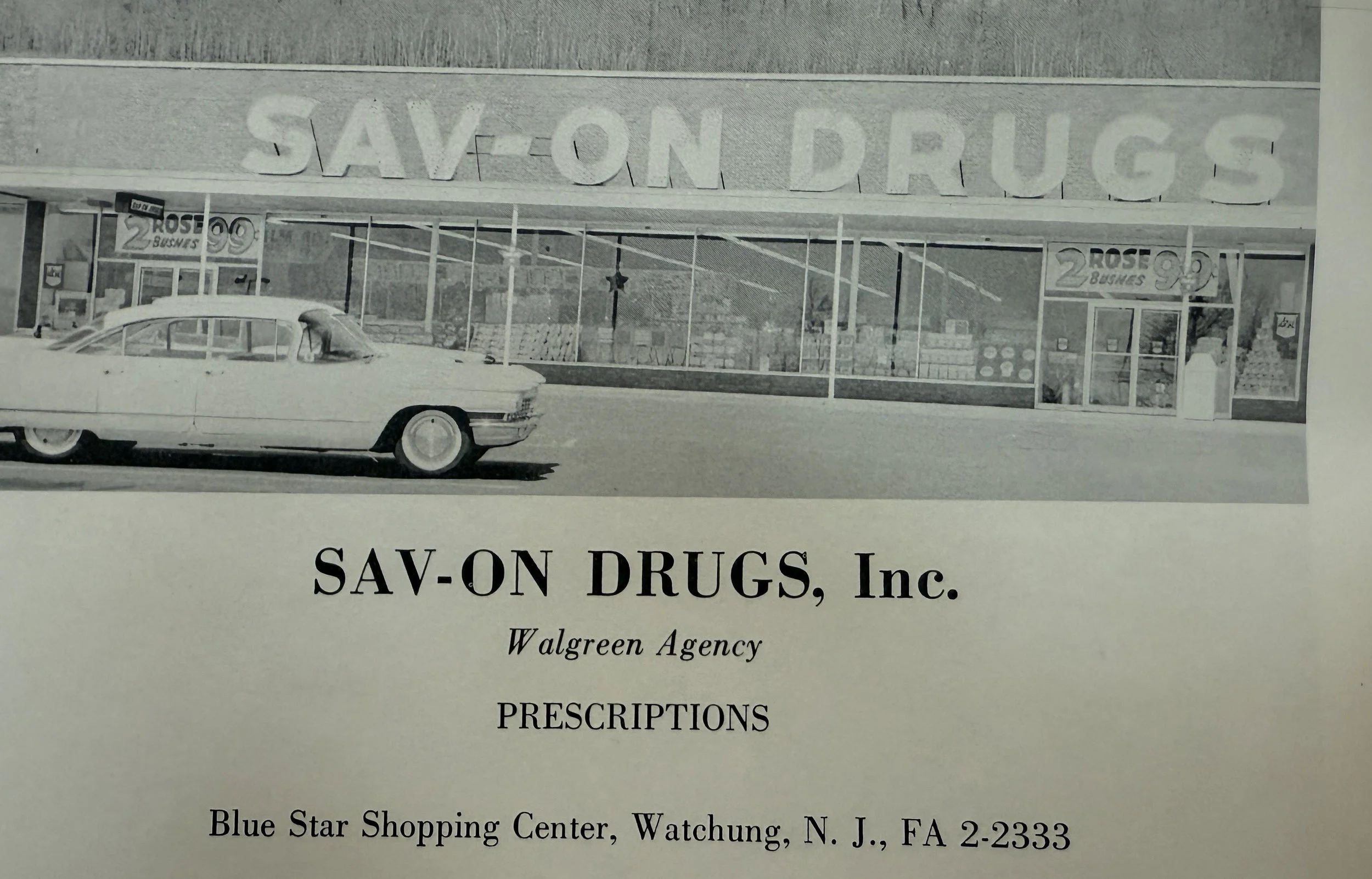 SAV-ON Drugs in Blue Star Shopping Center
