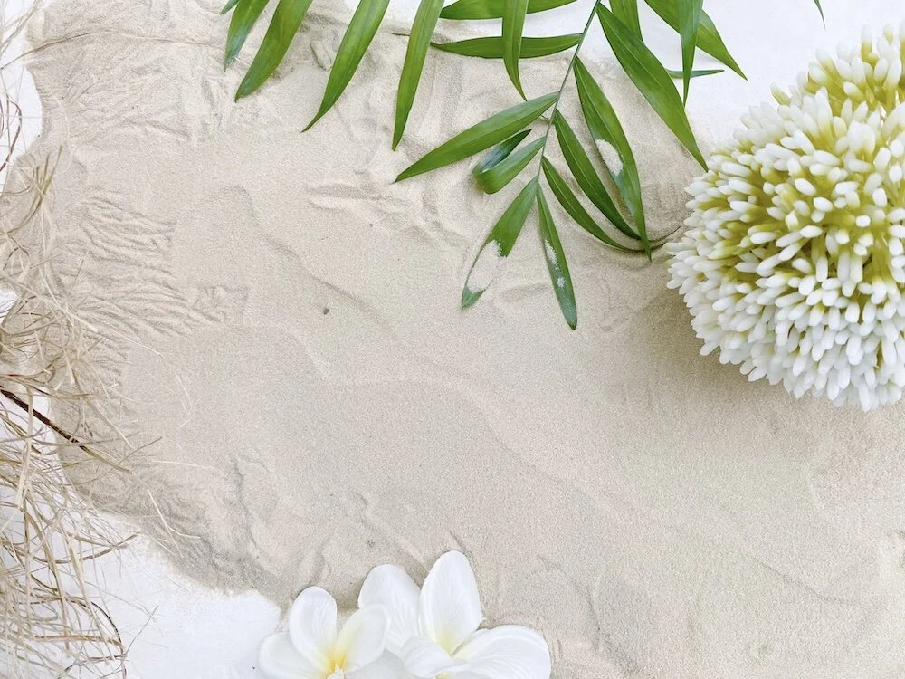 THINGS TO DO IN CHARLESTON.jpg