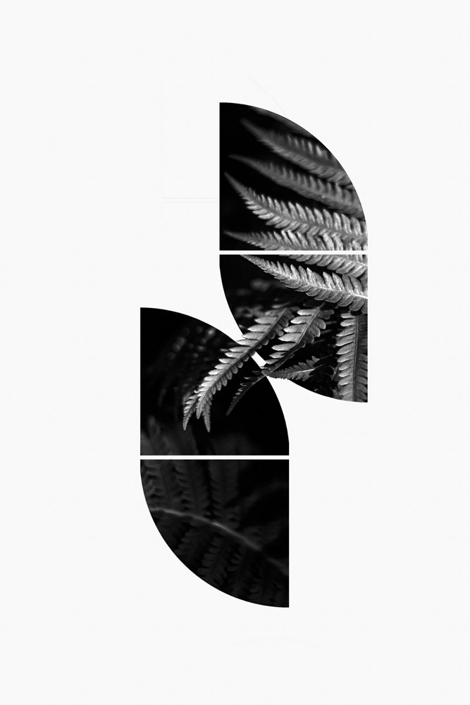 jgswebsite-2.jpg