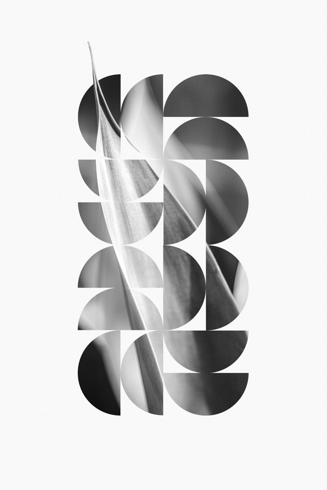 jgswebsite-1.jpg