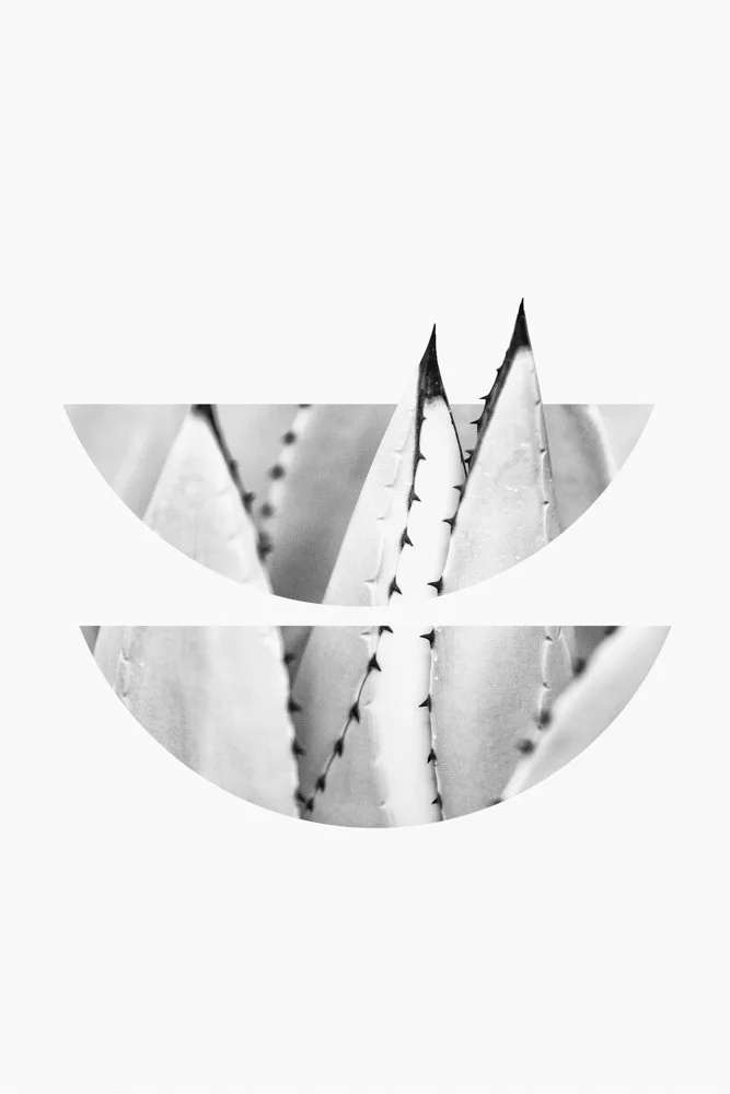 jgswebsite-3.jpg