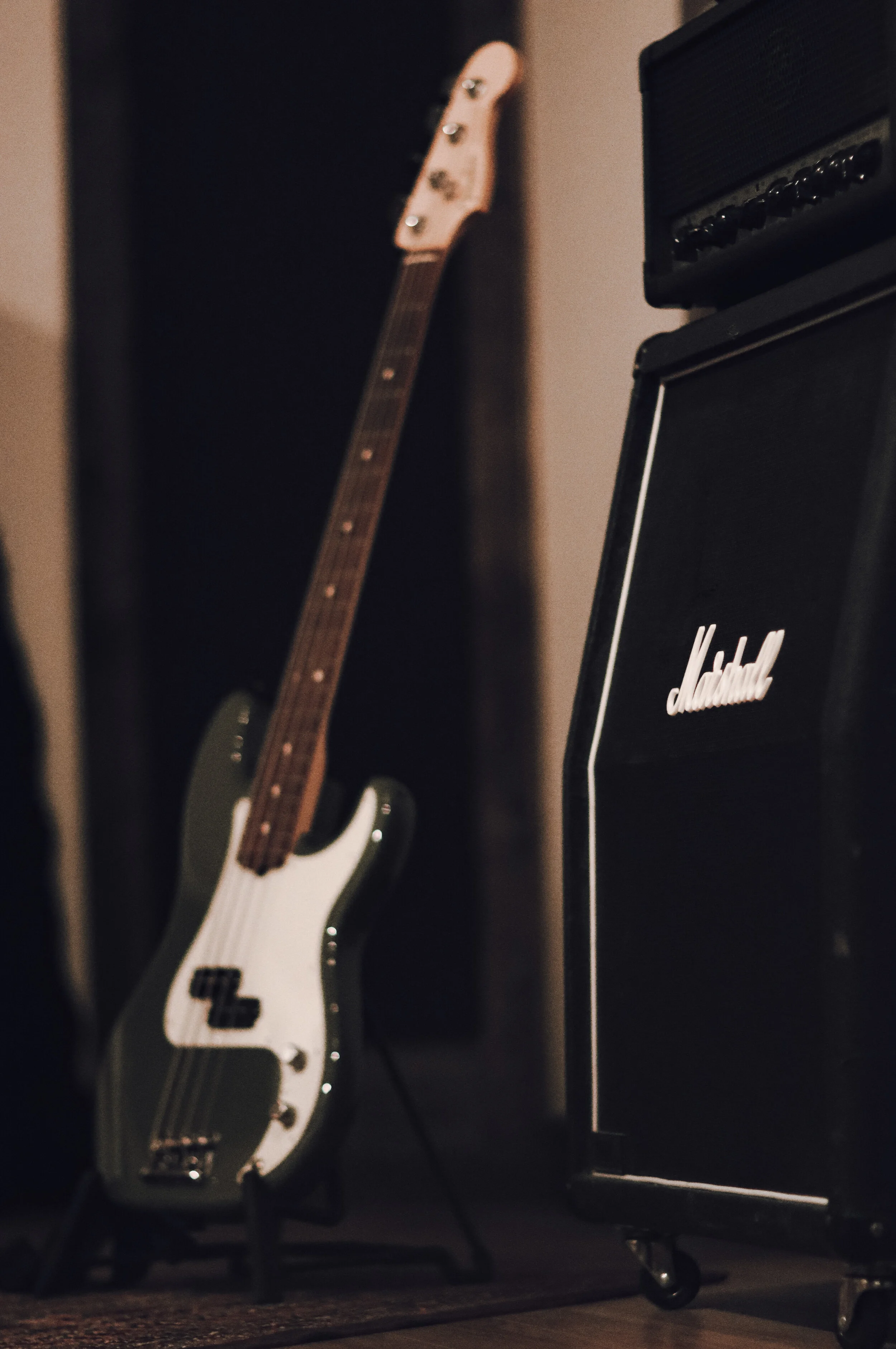 Fender American Professional P Bass
Peavey 6505
Marshall 1960A 4x12