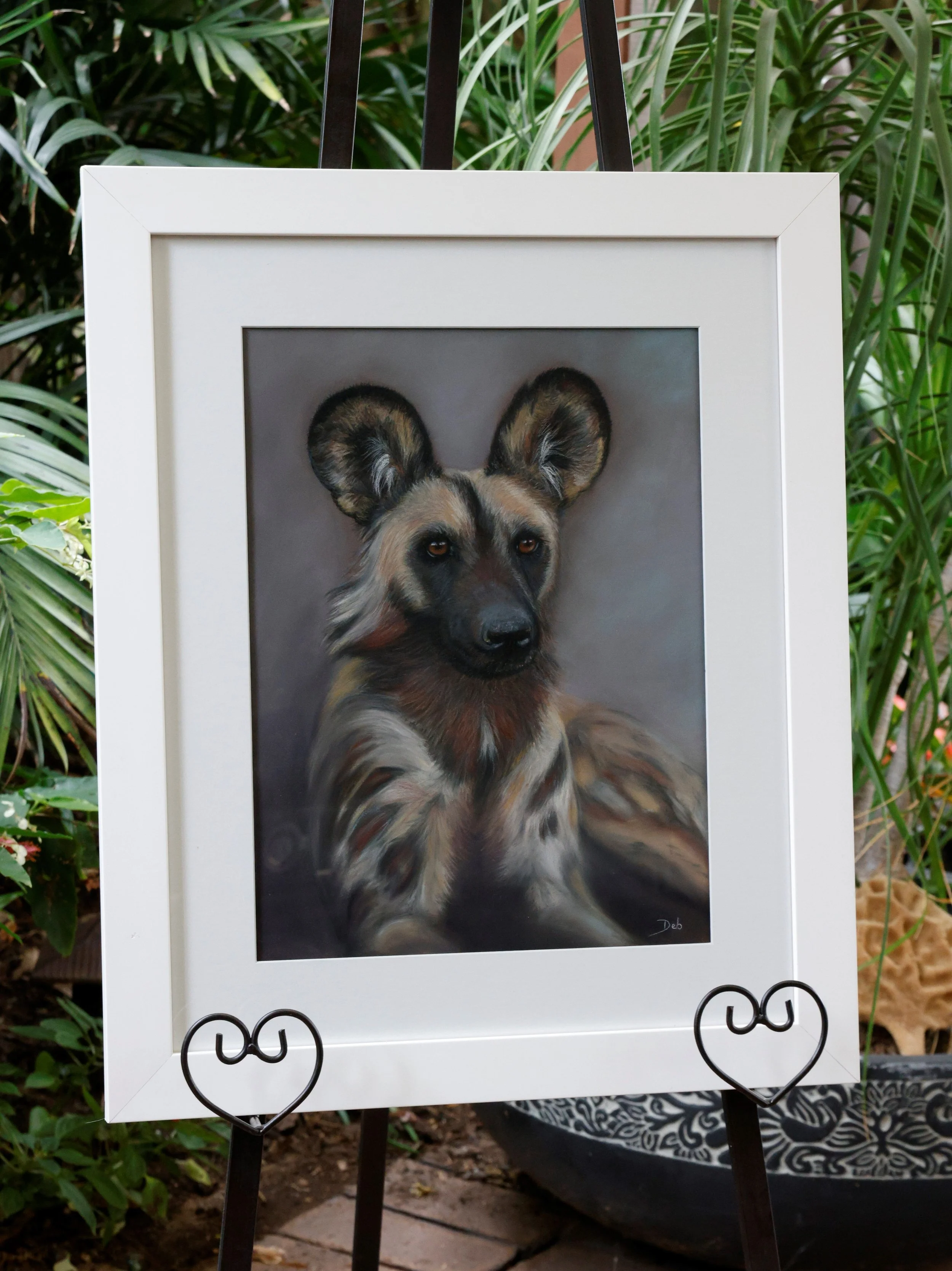 African Wild Dog