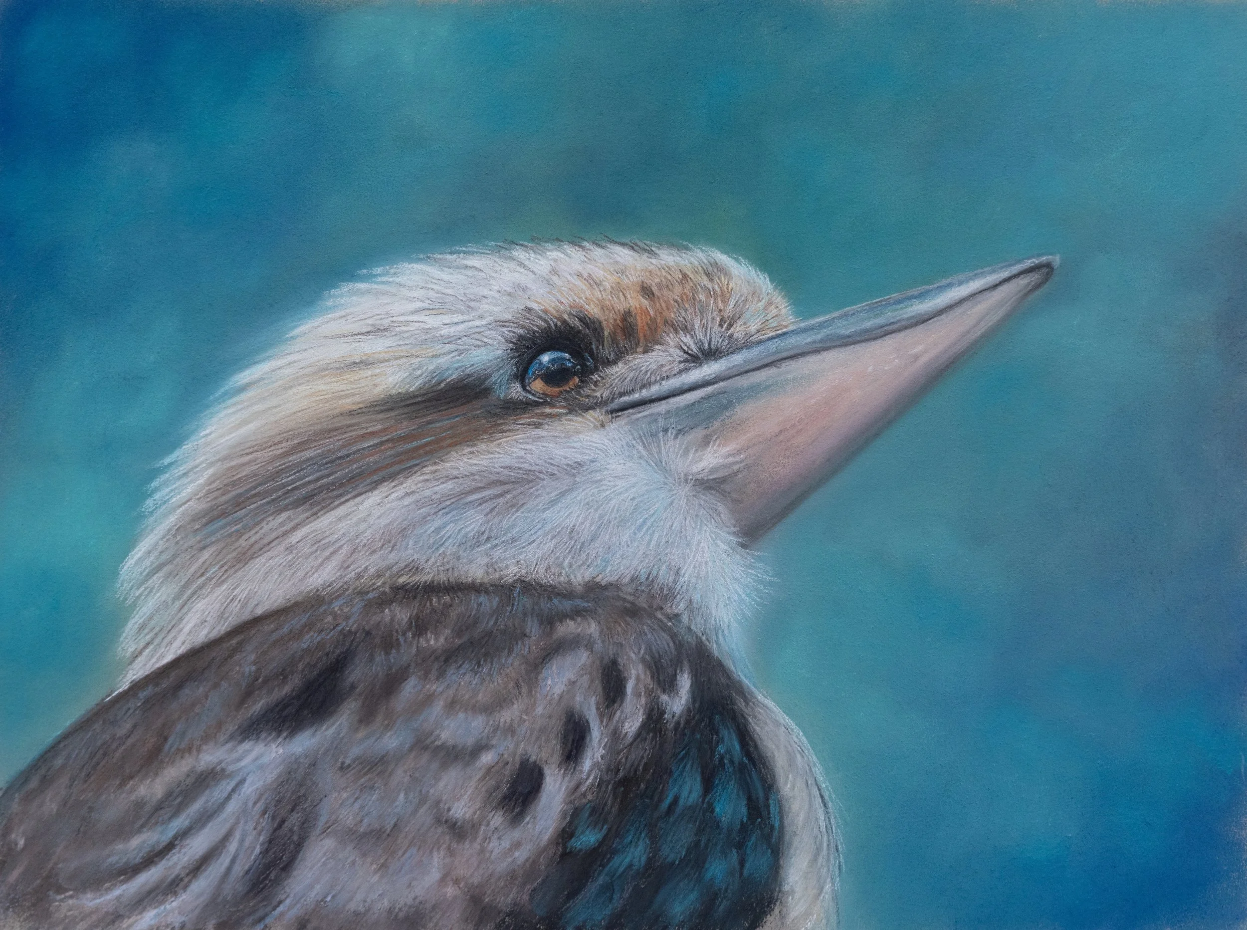 Close-up of a bird, possibly a kookaburra, with detailed feathers, a long beak, and a focused eye against a blurred blue-green background.