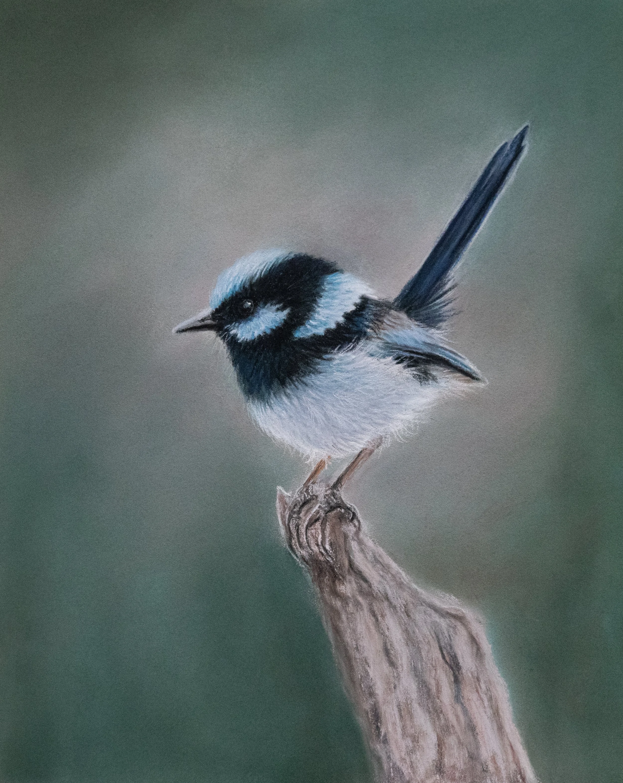 Man of the House.jpg