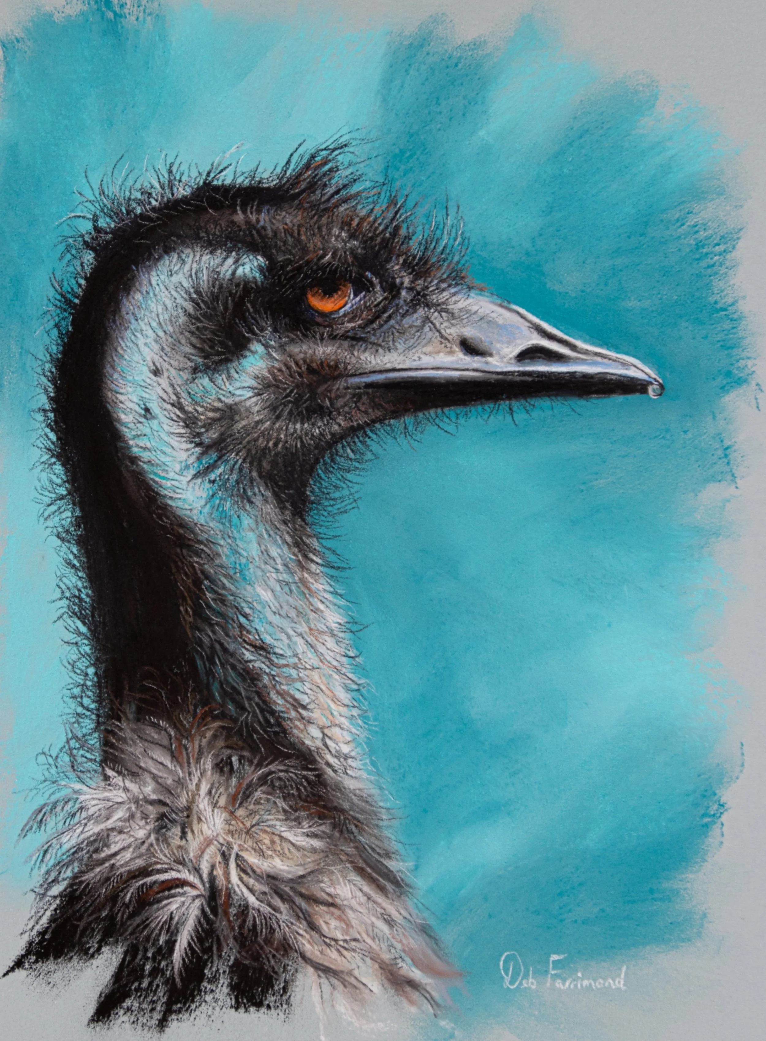 DebFarrimond Proud Mr Emu 1920pixel 72dpi.jpg