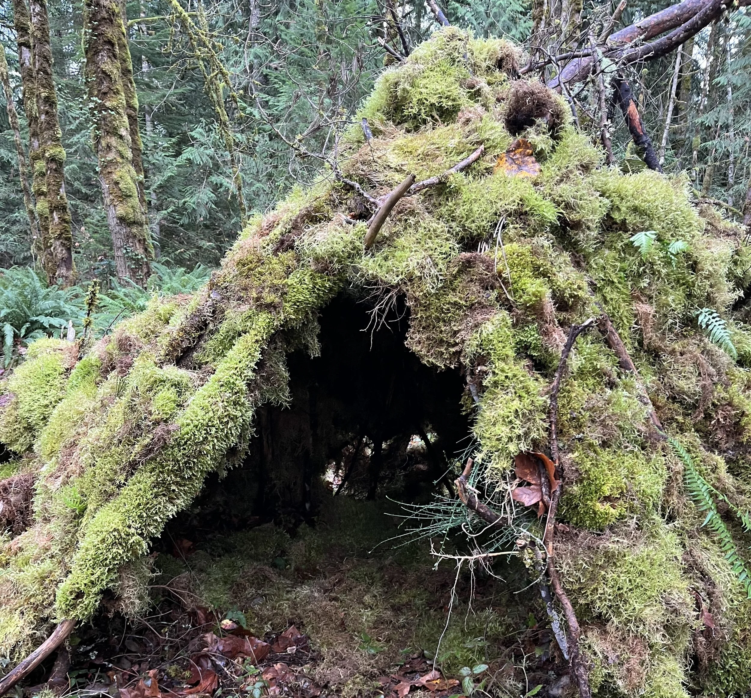 Community Acupuncture: What to Expect