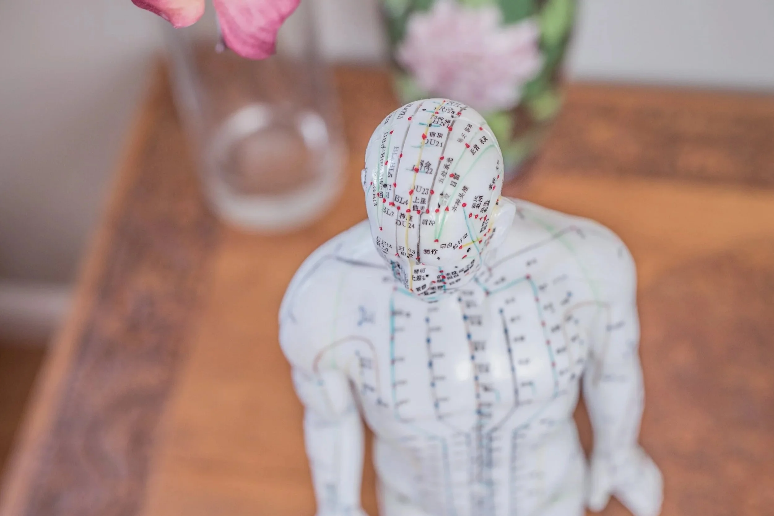 acupuncture meridians man