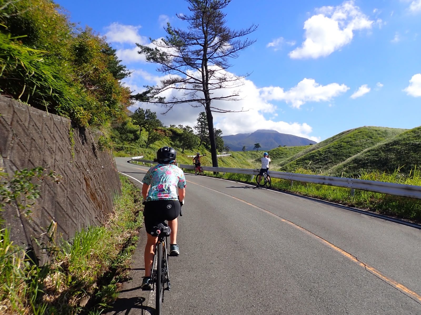 Day 7 Kyushu - a perfect day riding through the Kuju highlands, visiting a flower park with waves of colours set against a mountain backdrop, a 1000 year old tree nestled in the forest, bubbly soda spring onsen water, a 11m high Buddha carved in to t
