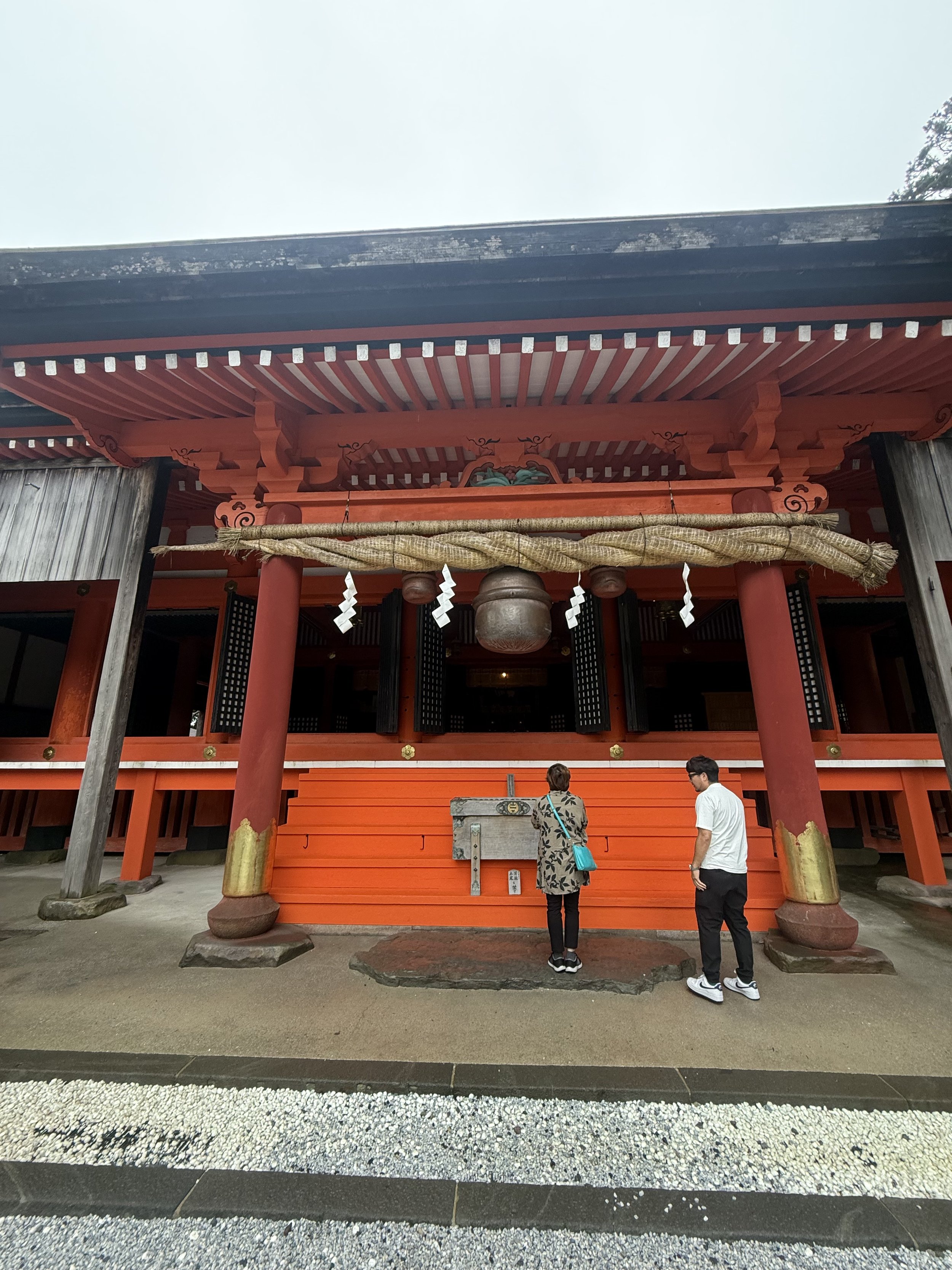 IMG_8253.jpeg