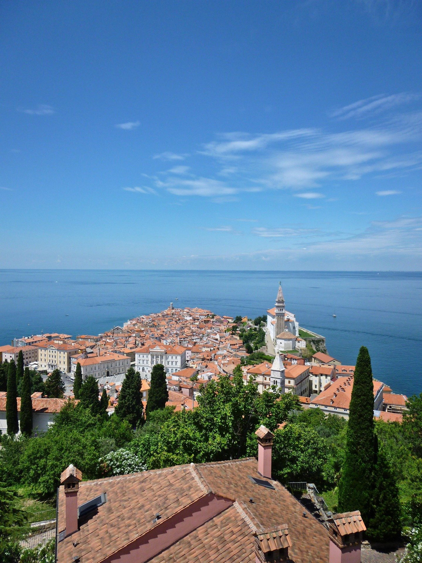 vdugrain-piran-4153417_1920.jpg
