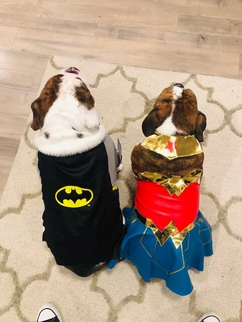 Superhero Dynamic Duo