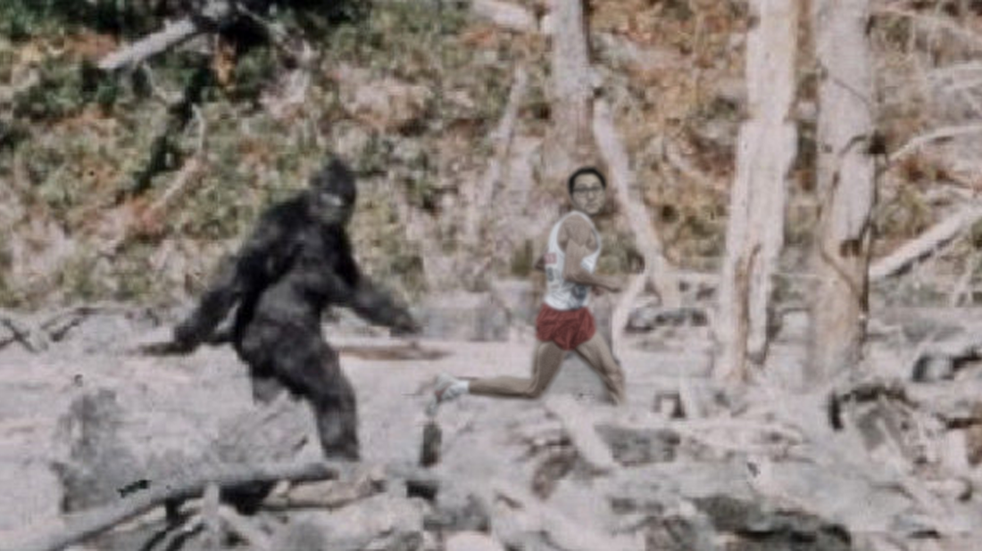 omartracker_orig.png