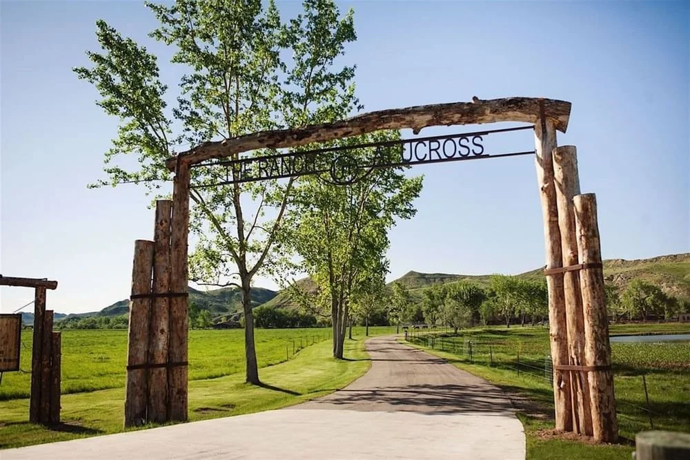 UCross entry.jpg