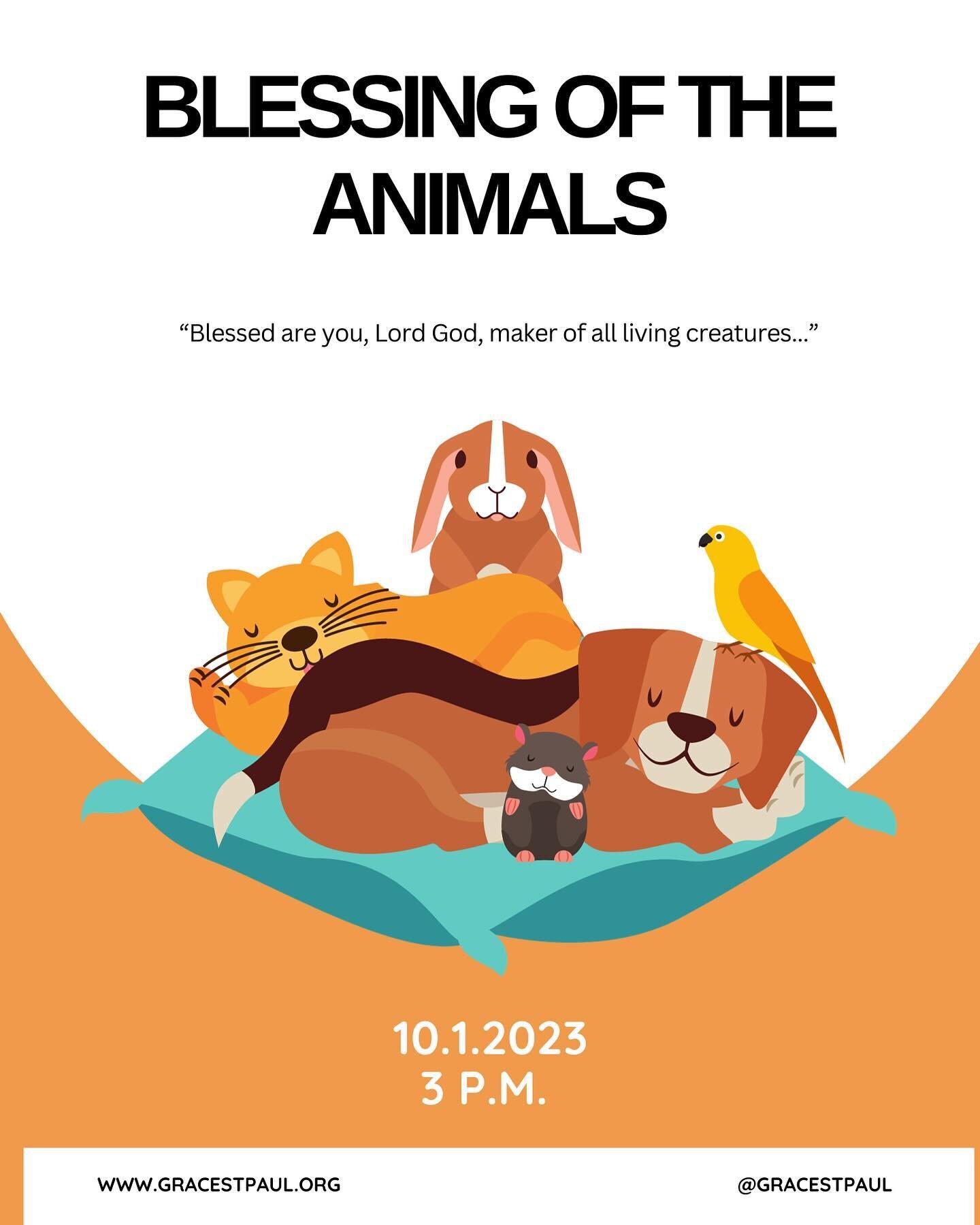 Please join us on Sunday, October 1st for the Blessing of the Animals! All animals are welcome, leashed or in cages as appropriate. See you there! 🐶💒