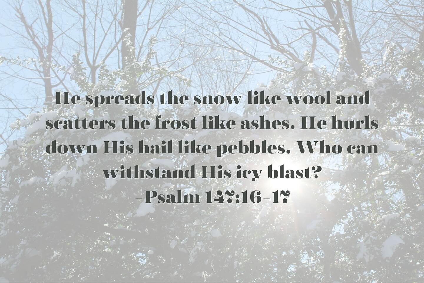 We hope everyone is staying safe in the snow and ice! ❄️💒