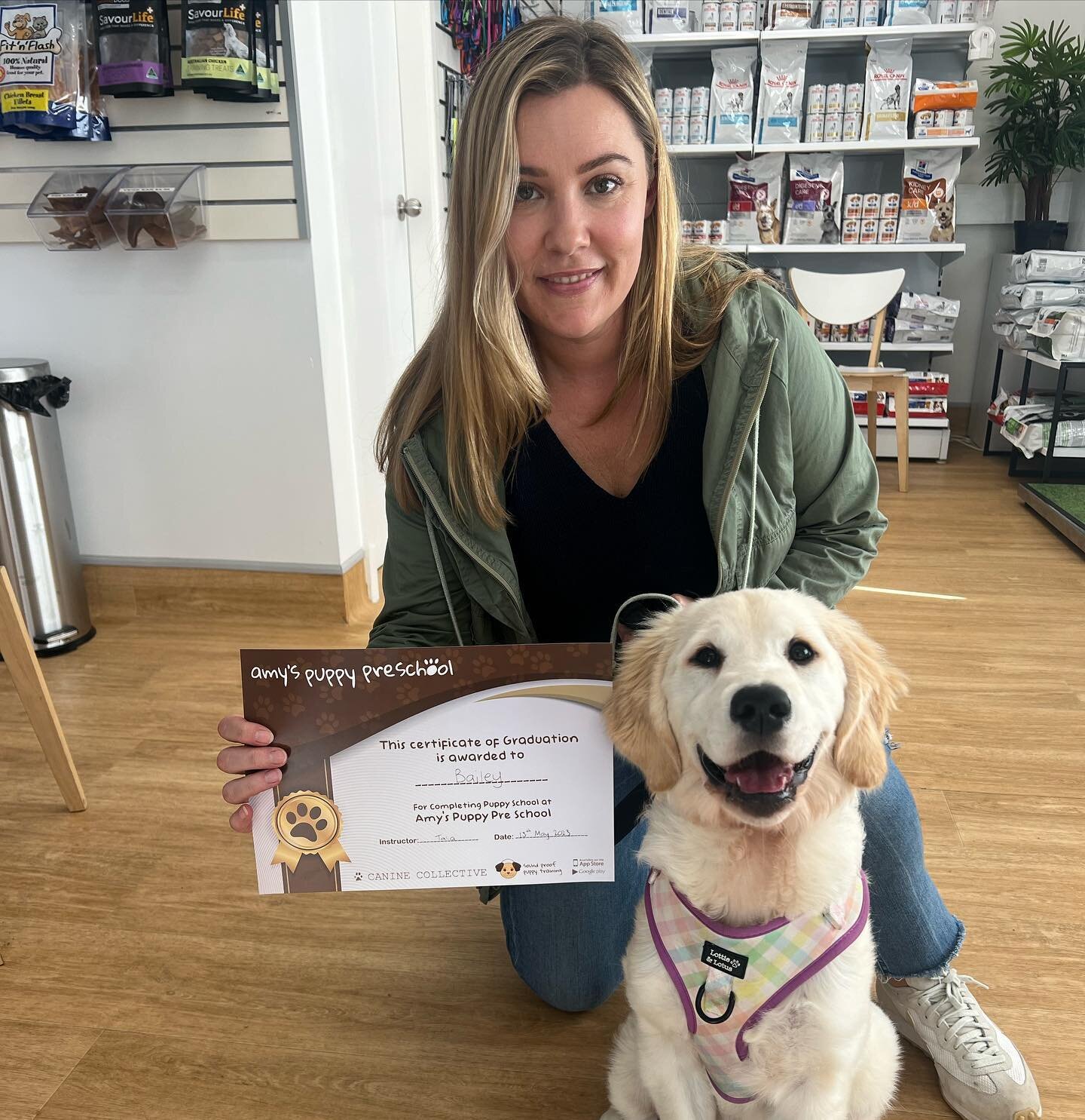 Bailey stoked to have graduated puppy class @bilgolavetclinic this afternoon 🎓