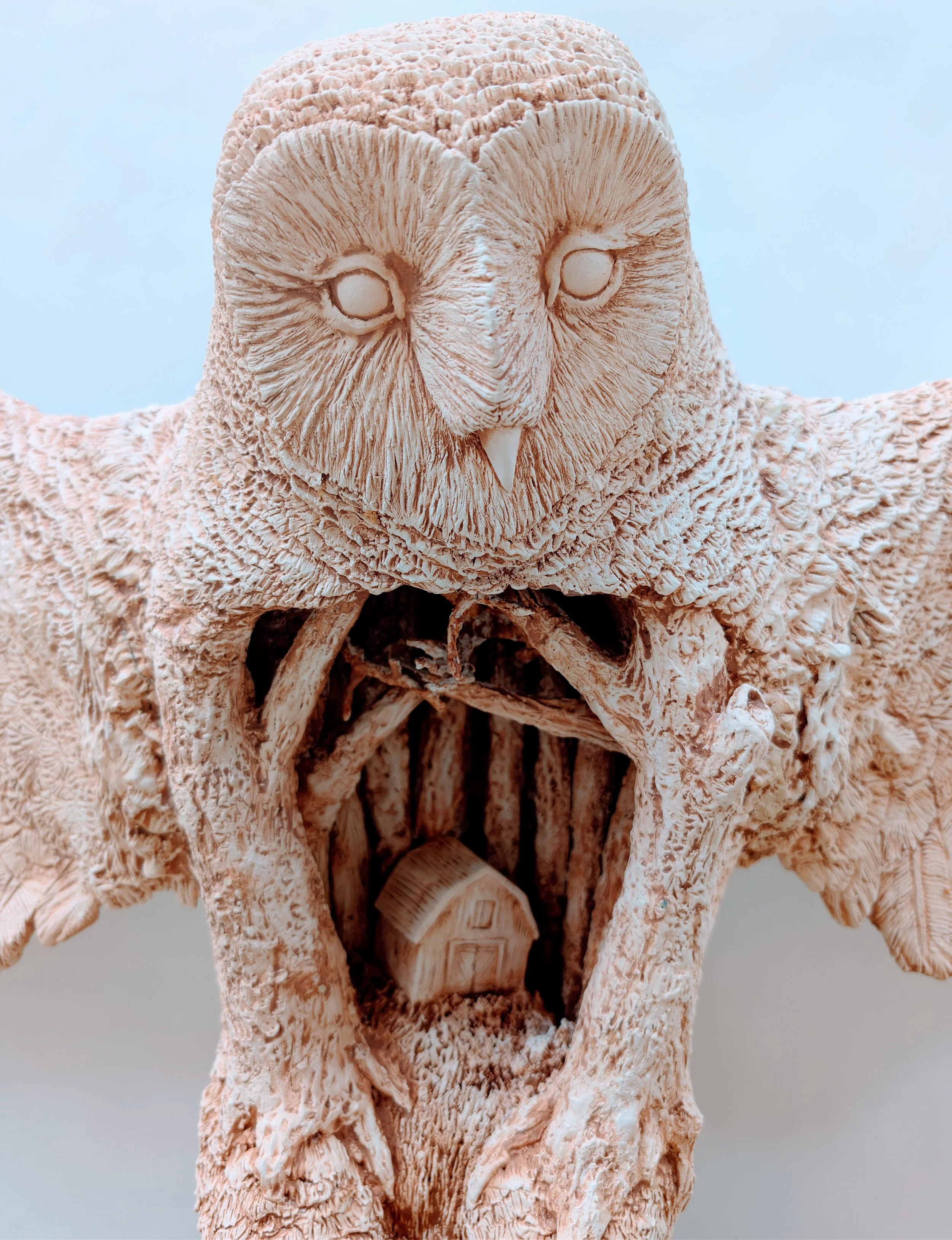 Blackburn Owl 2.jpg