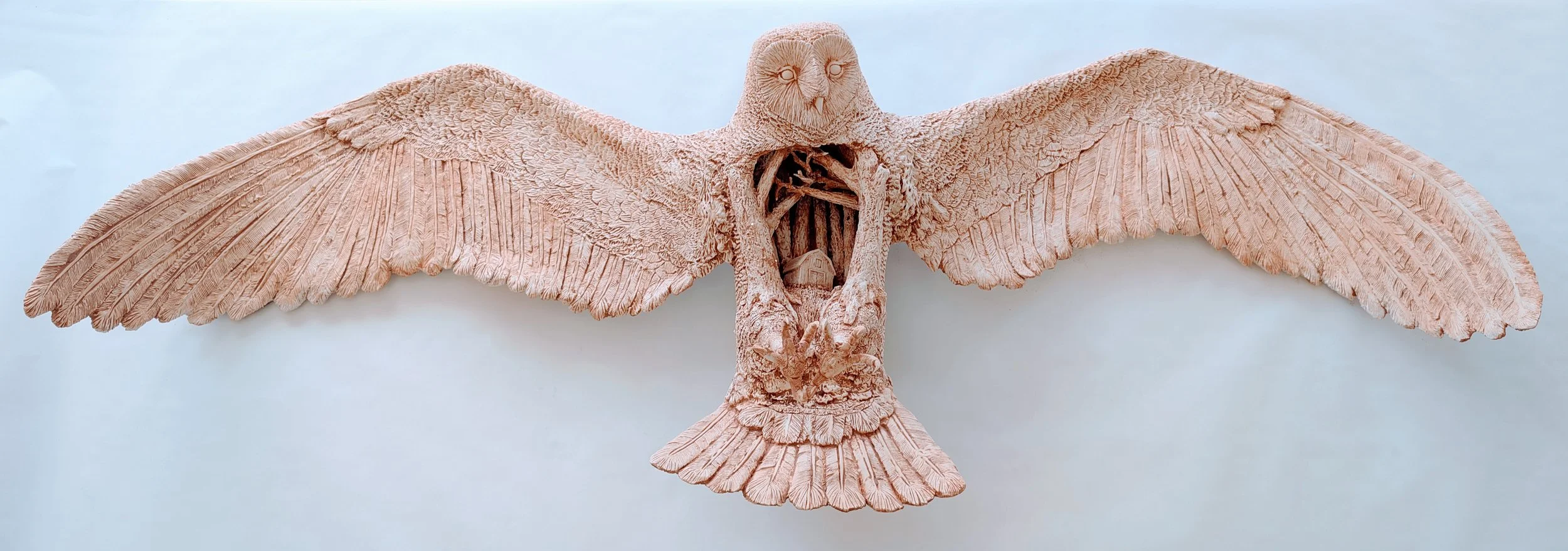 Blackburn Owl 1.jpg
