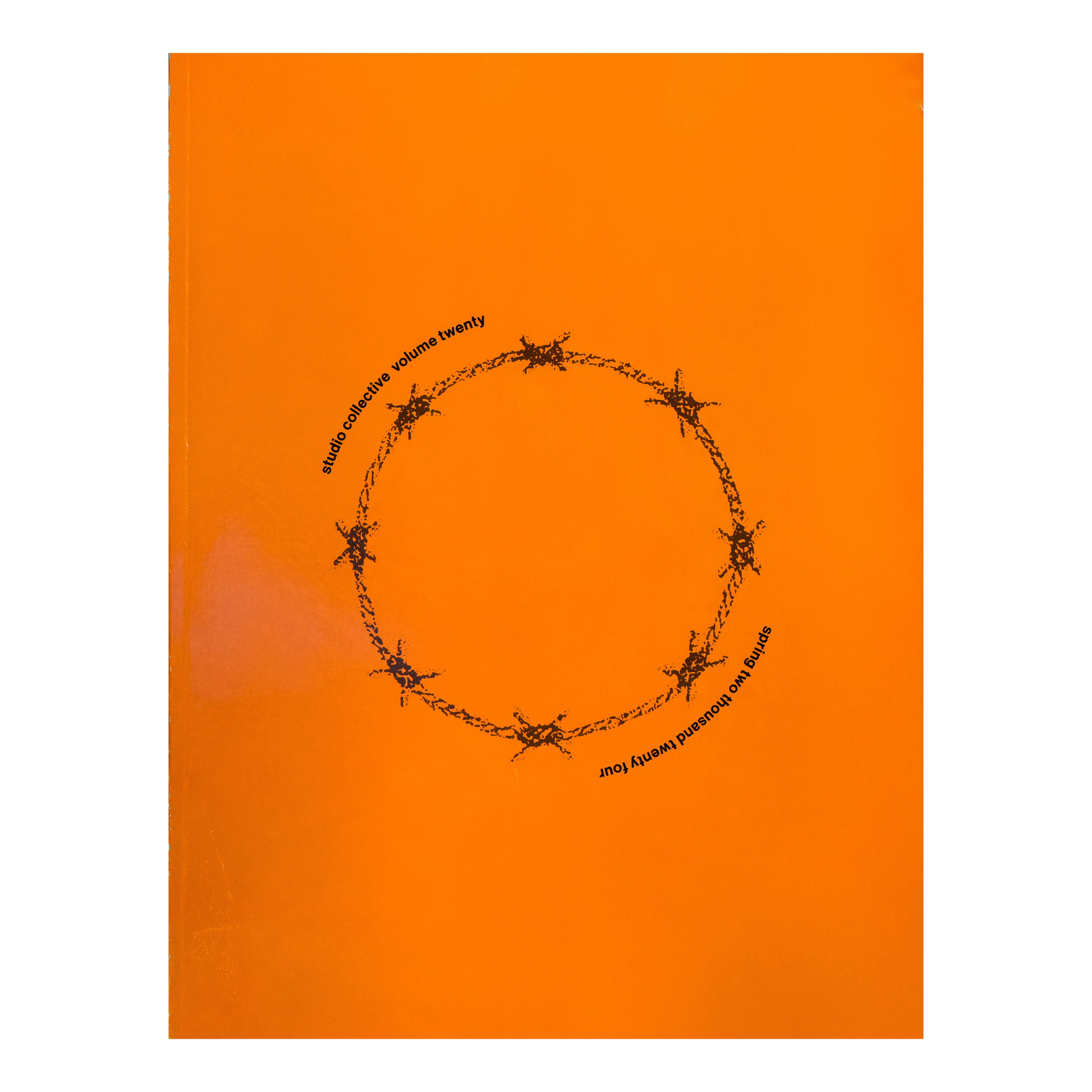 VOLUME XX: Prisons