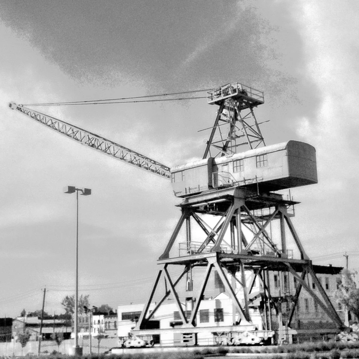 grey-crane.jpg