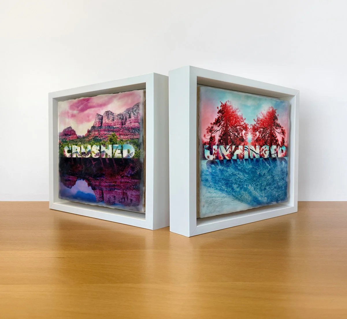 LisaMarieKwesell_Crushed Unhinged framed.jpg