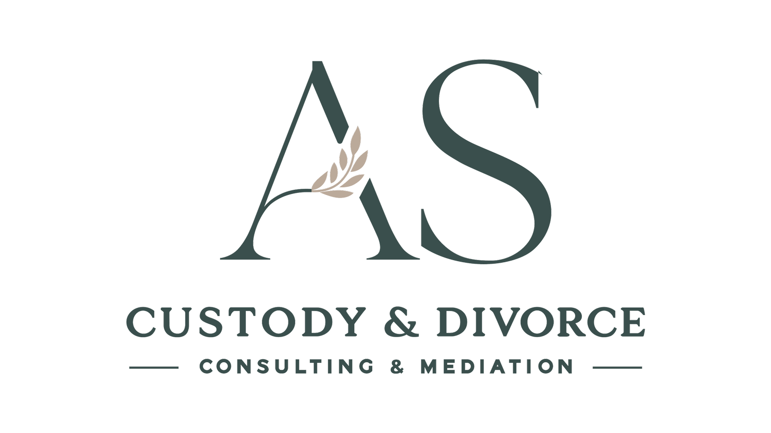 Custody &amp; Divorce Consulting