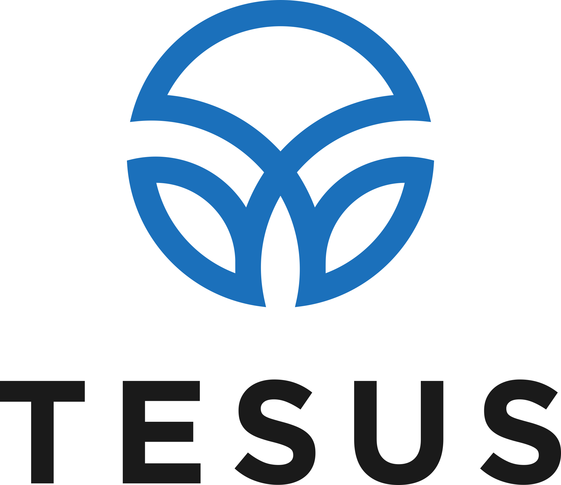 En blå och svart logotyp med texten 'TESUS'.