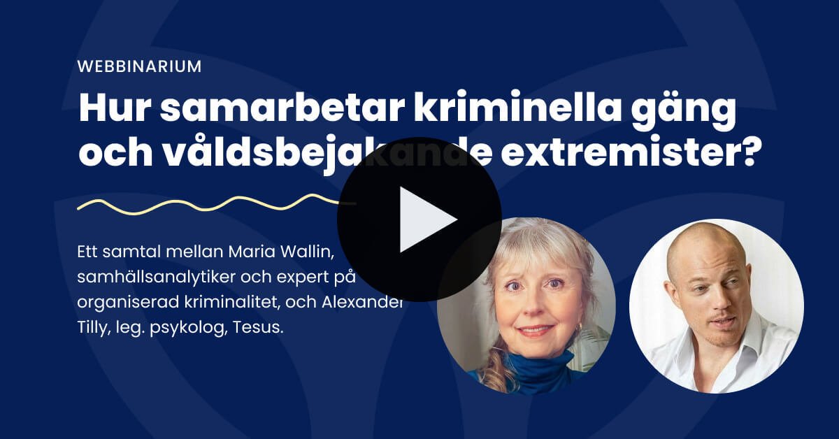 Hur samarbetar kriminella gäng och våldsbejakande extremister?