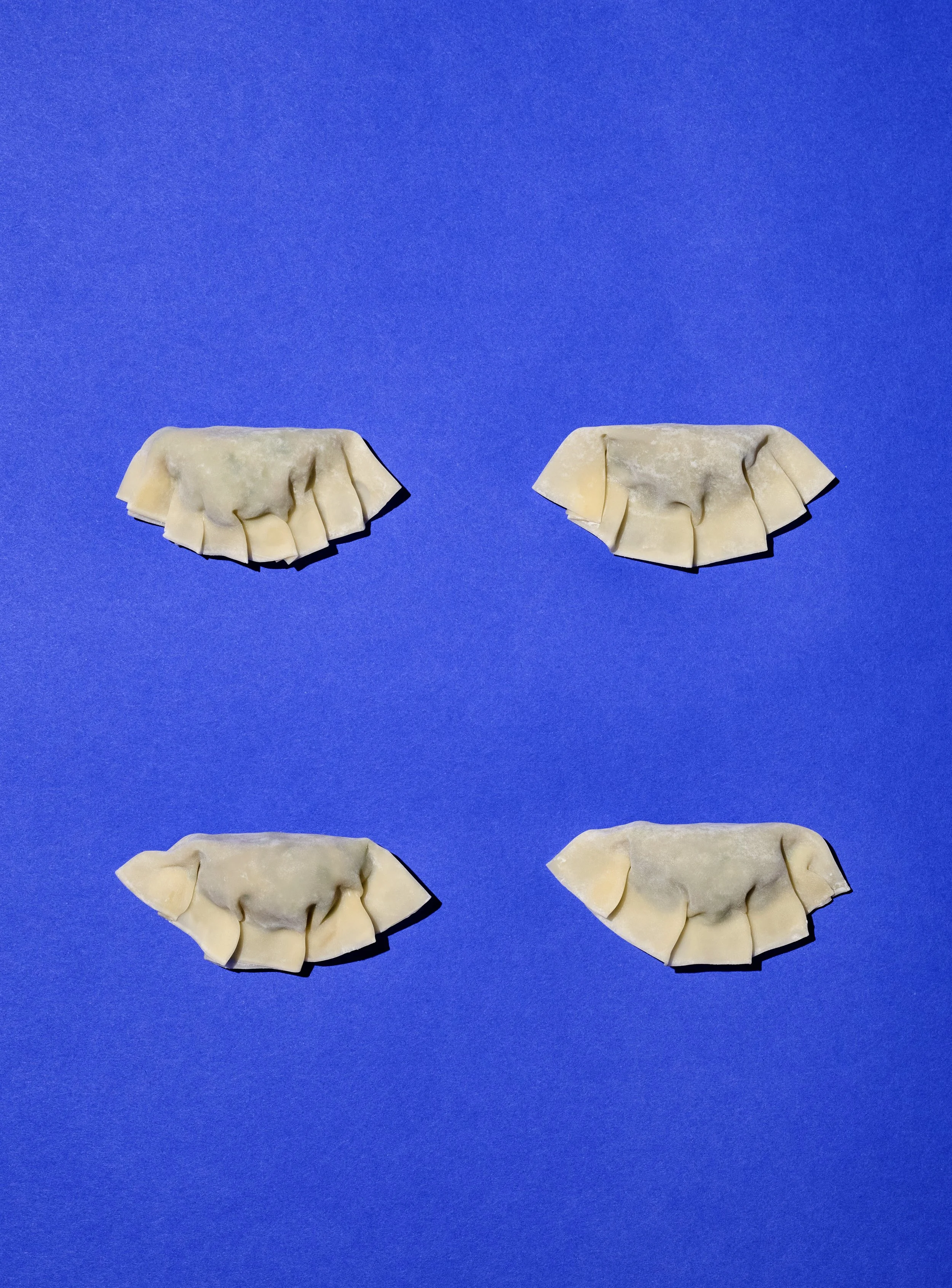 Ramen_Step-by-Step Recipes_Gyoza_18.jpg