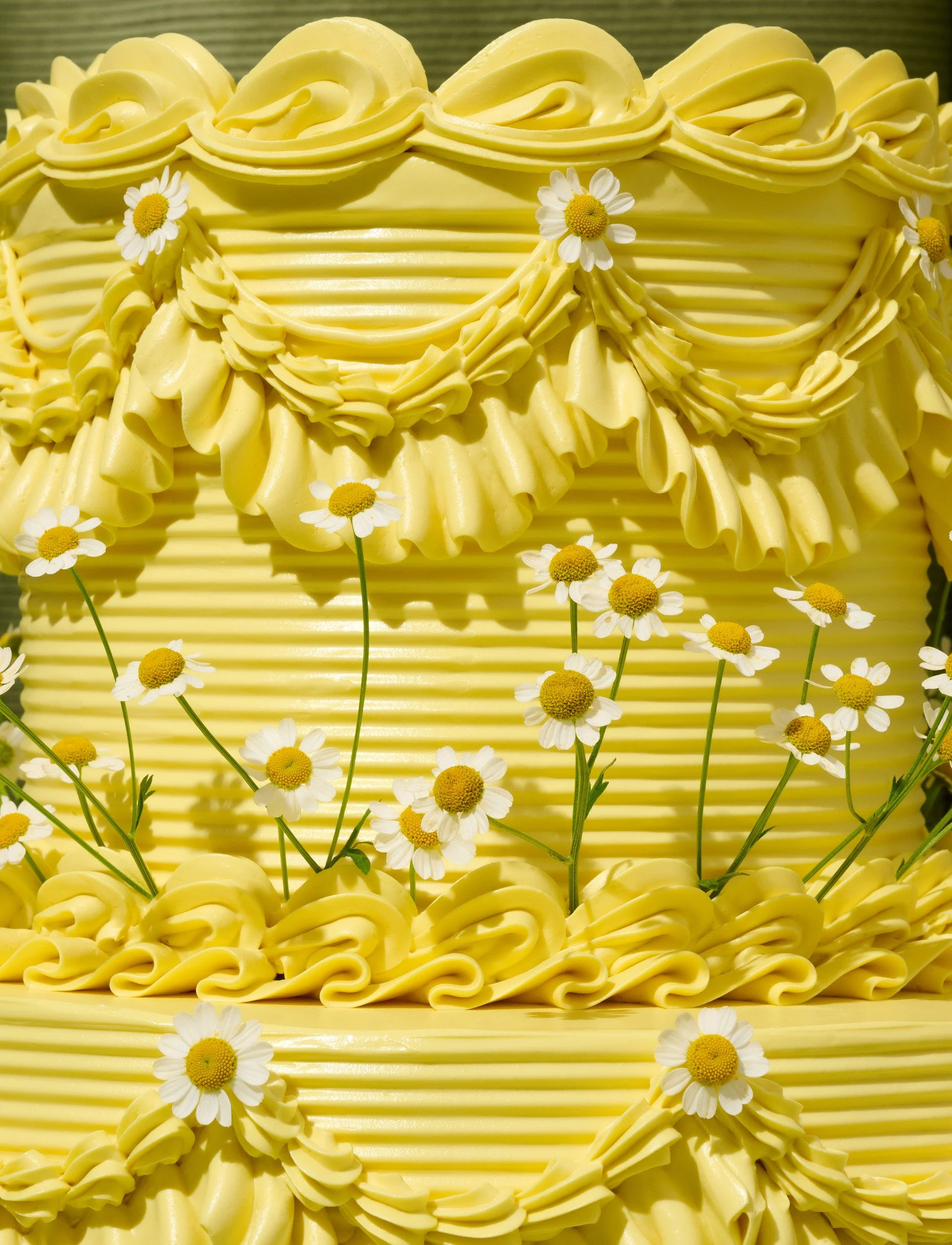 The Projects_10_Daisy fields_Macro_0043.jpg