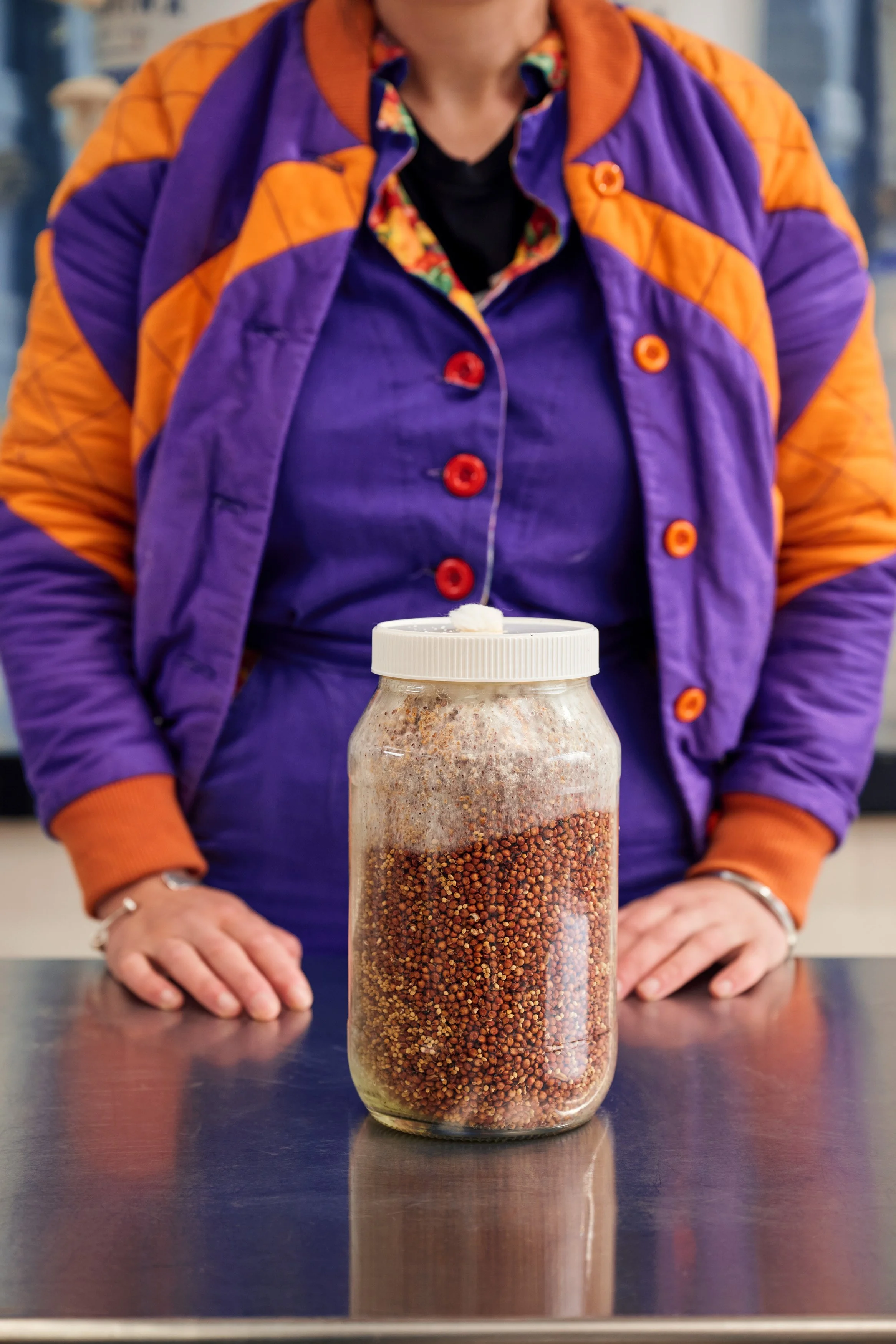Mushroomery_Grain spawn_step 8_492.jpg