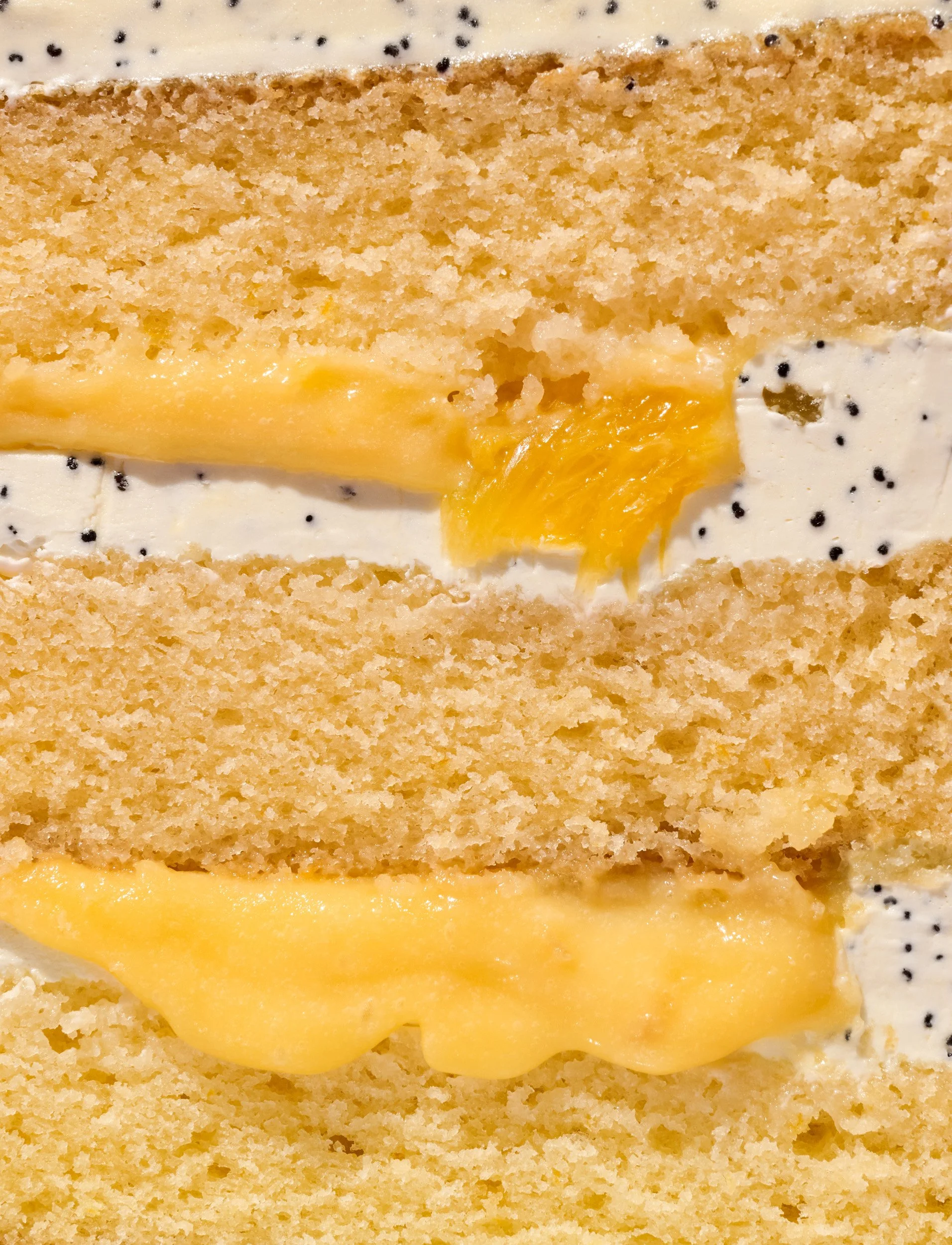 3_Layer Cakes_Orange yoghurt cakec_015.jpg